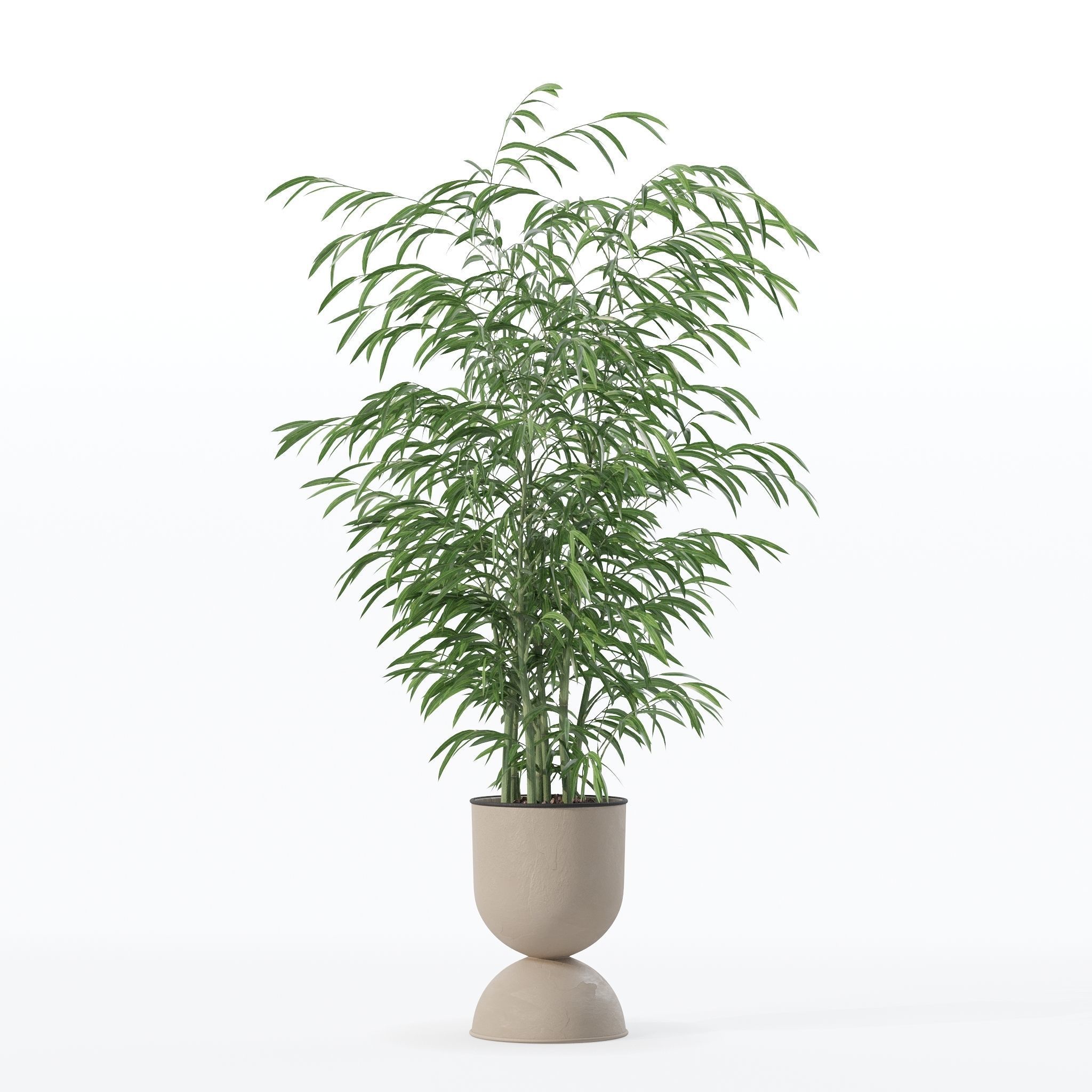 Bamboo in modern flower pot 3D model_9