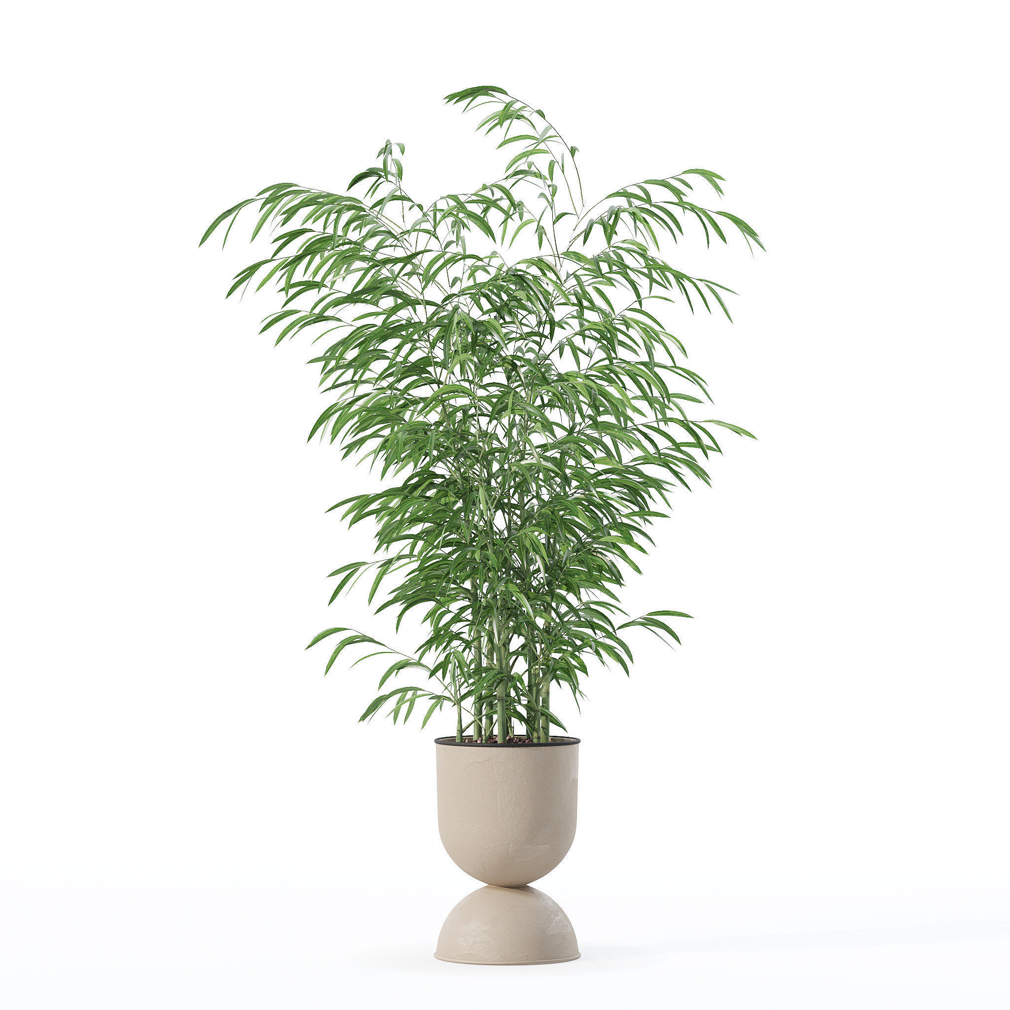 Bamboo in modern flower pot 3D model_4