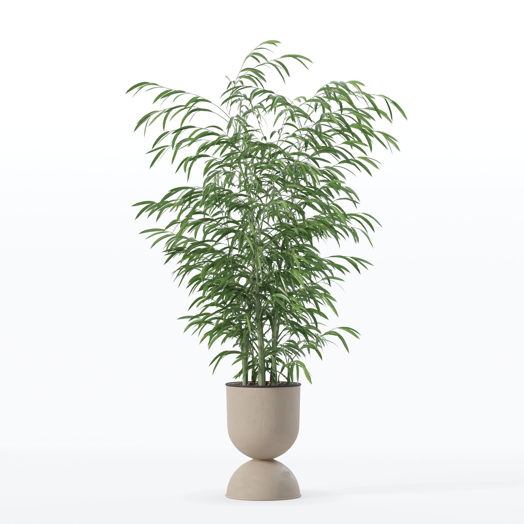 Bamboo in modern flower pot 3D model_7