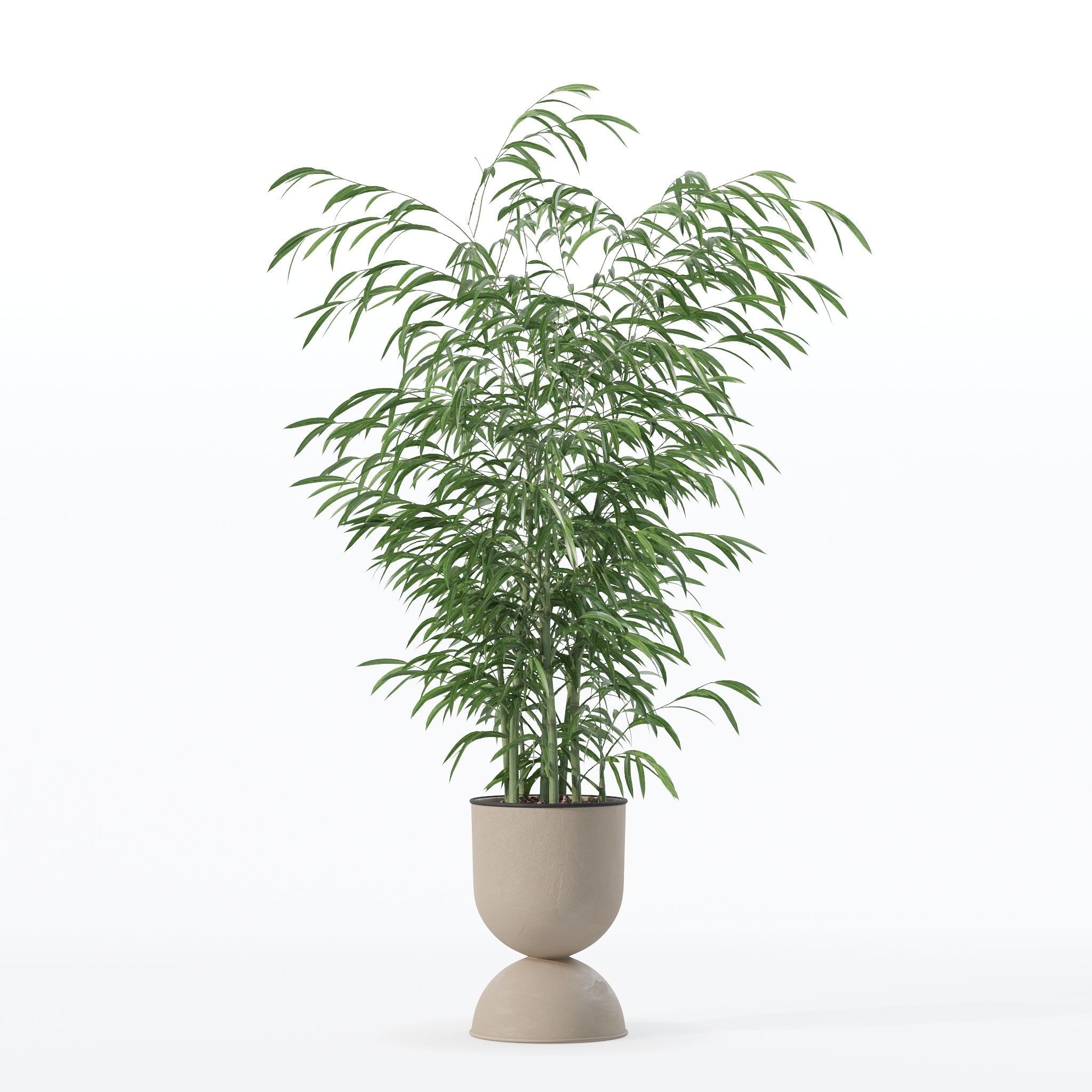 Bamboo in modern flower pot 3D model_28