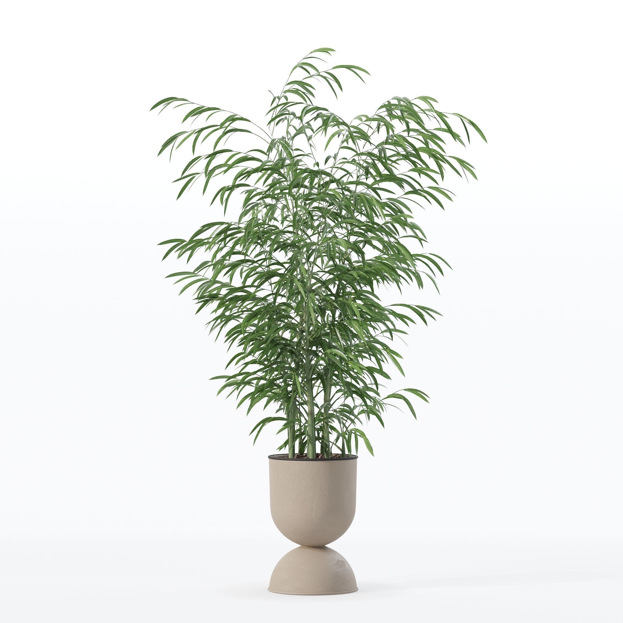 Bamboo in modern flower pot 3D model_30