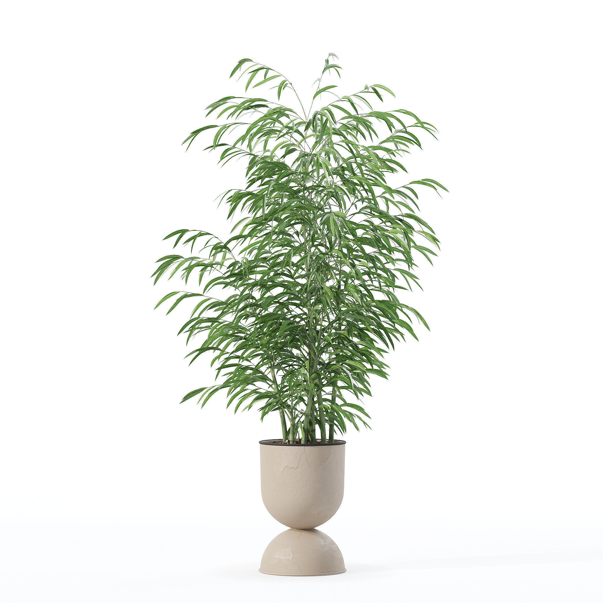 Bamboo in modern flower pot 3D model_2