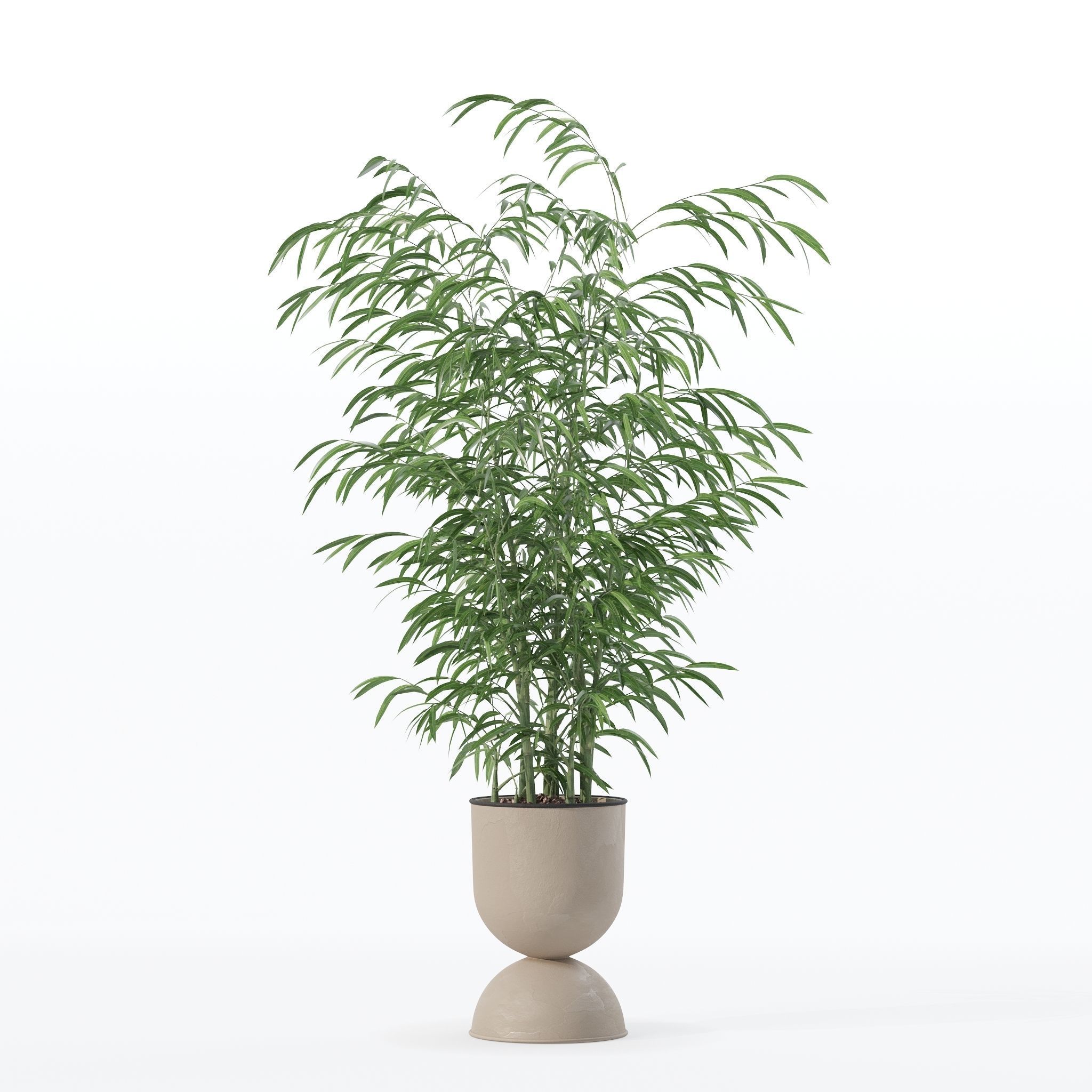 Bamboo in modern flower pot 3D model_18