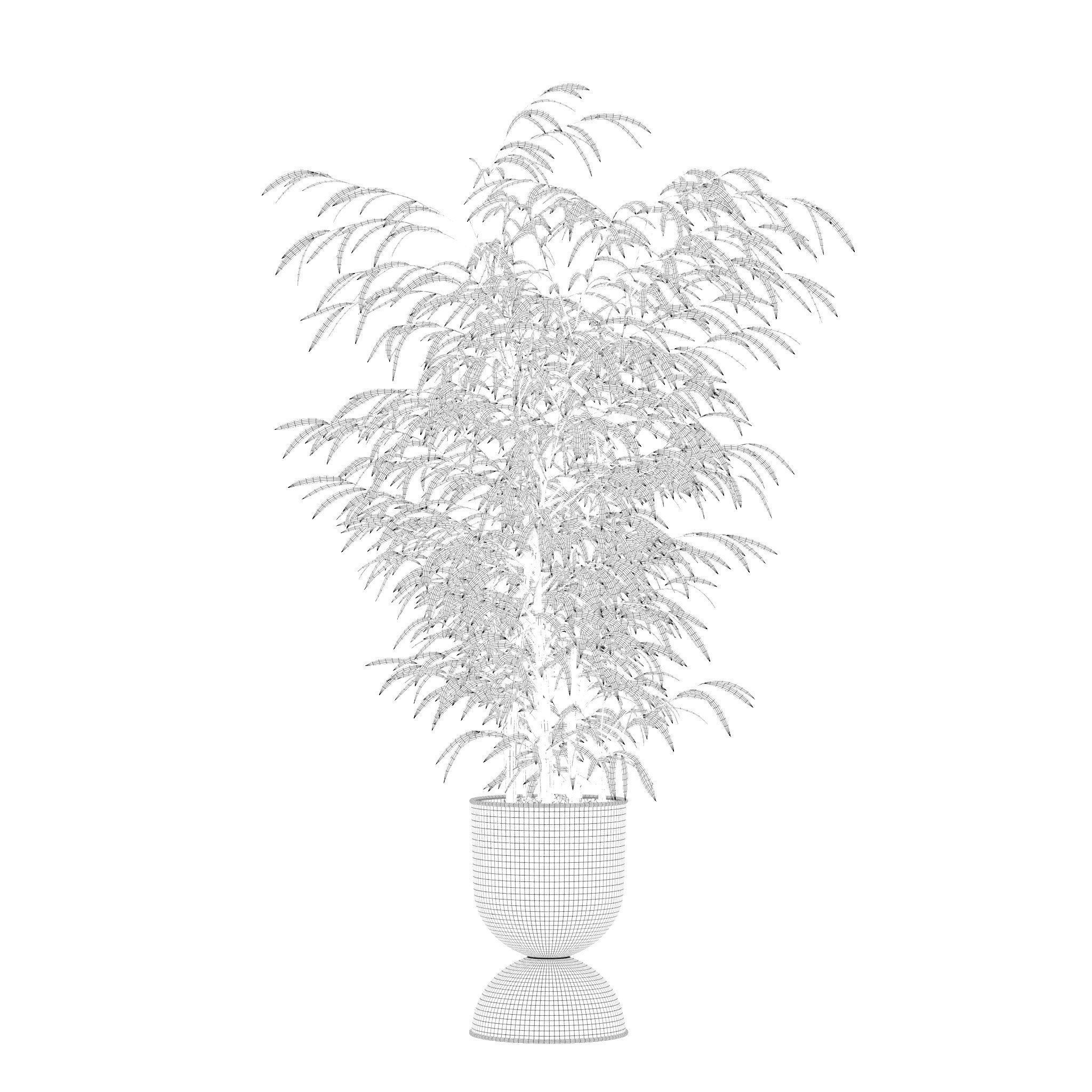 Bamboo in modern flower pot 3D model_1