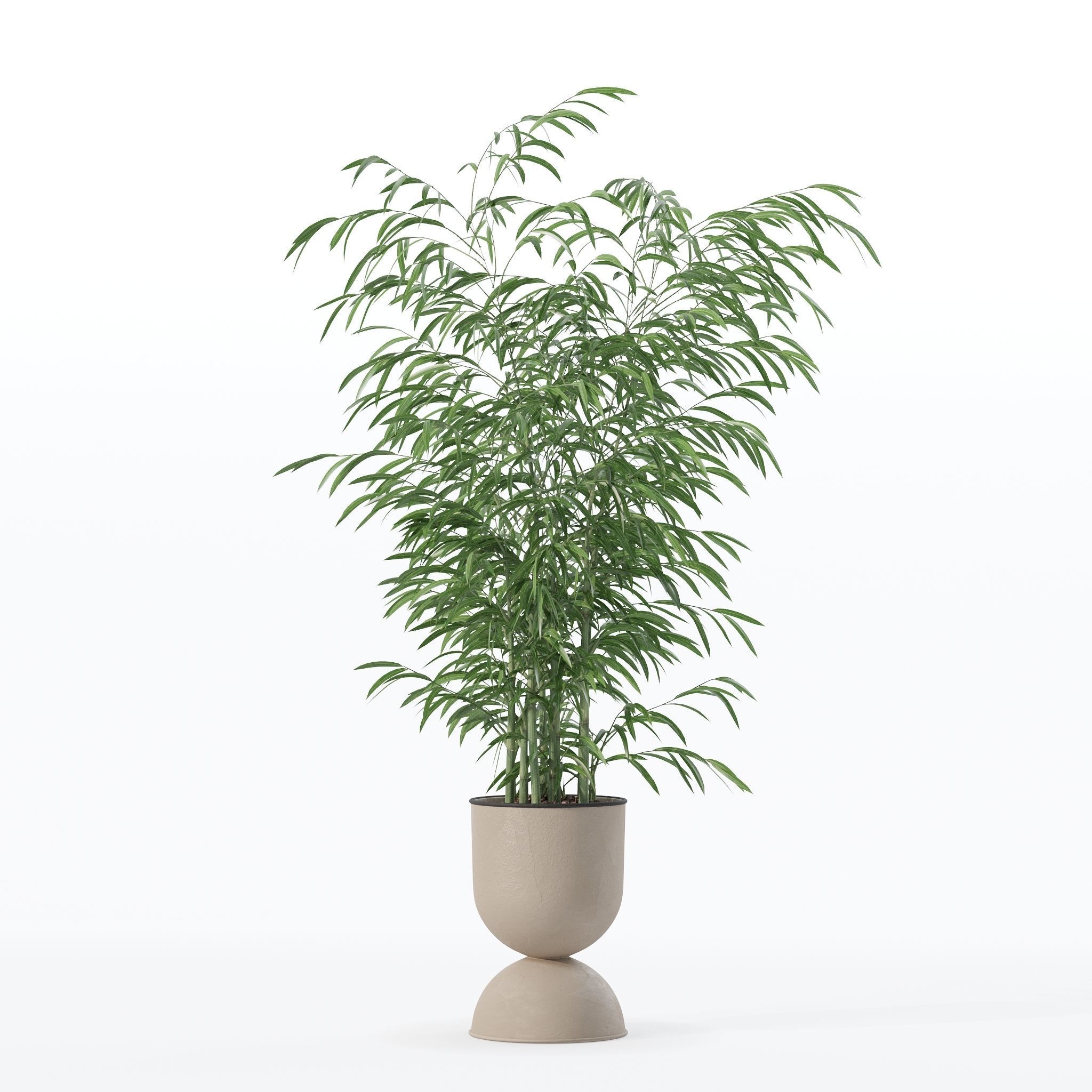 Bamboo in modern flower pot 3D model_25
