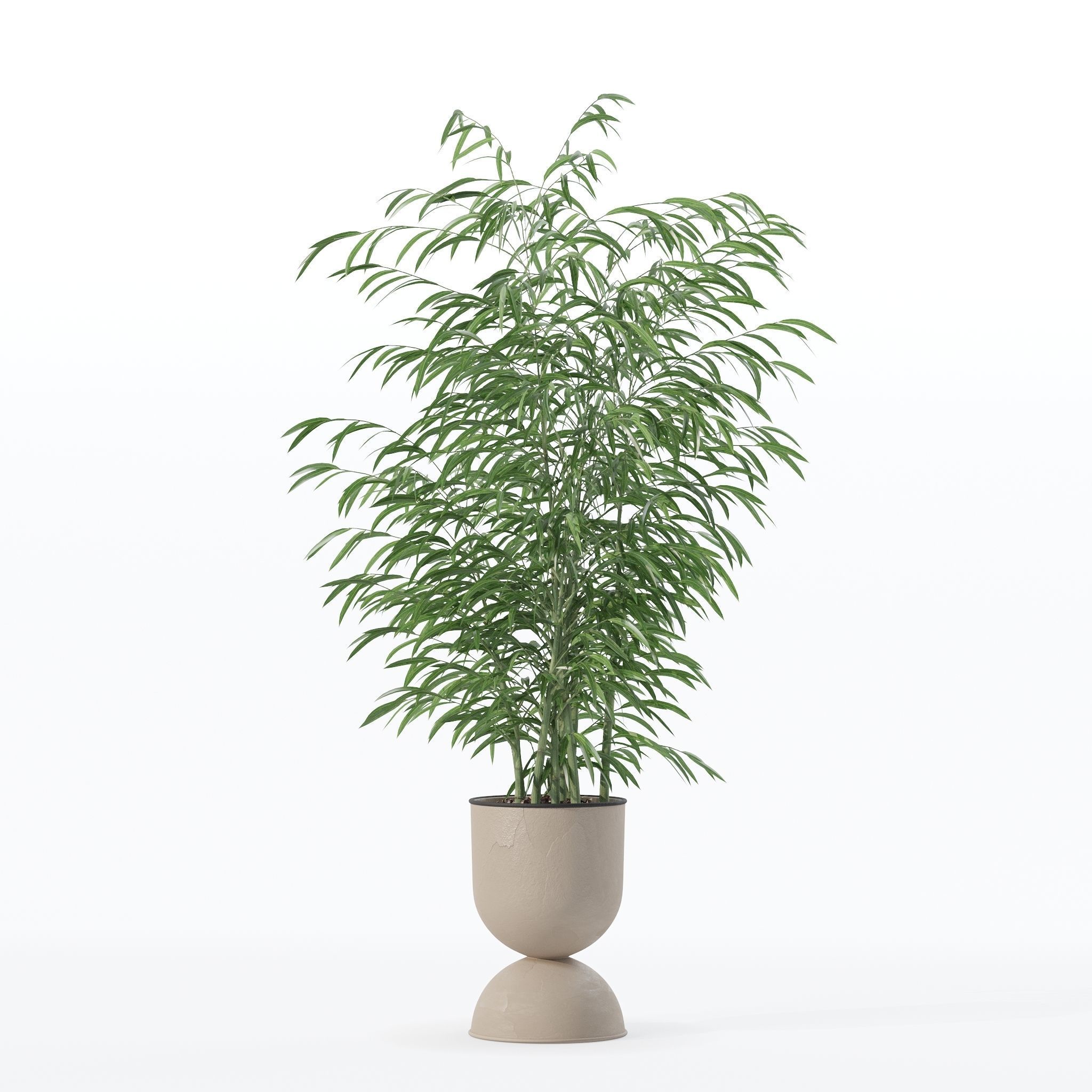 Bamboo in modern flower pot 3D model_22