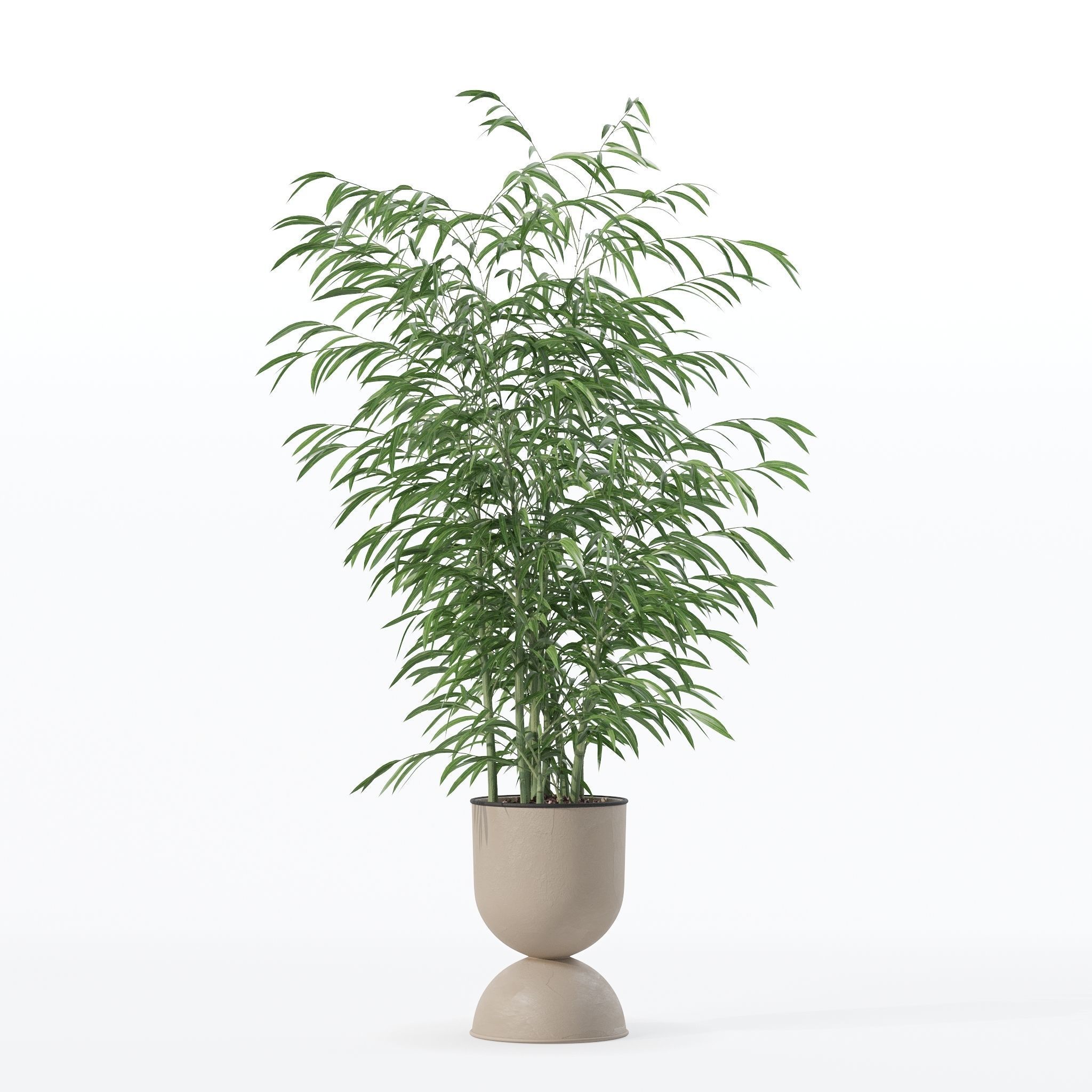 Bamboo in modern flower pot 3D model_14