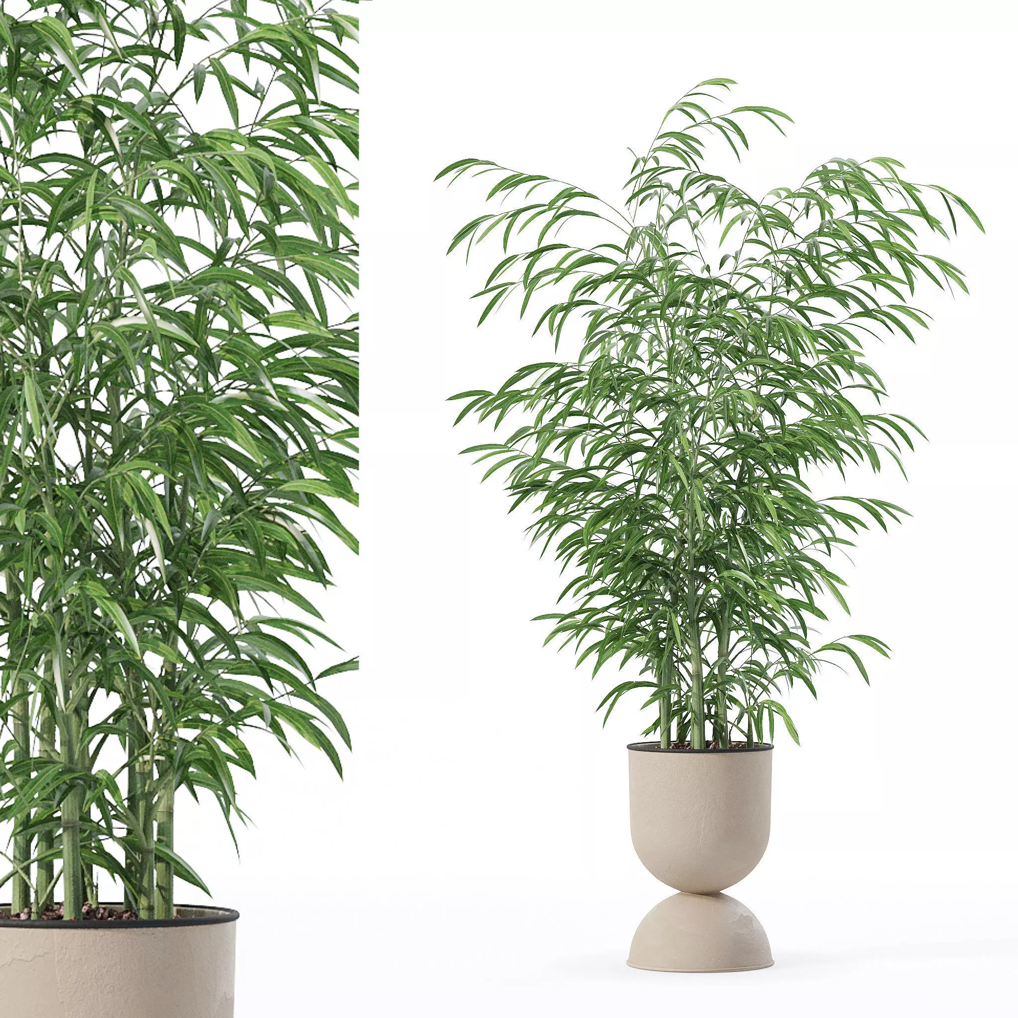Bamboo in modern flower pot 3D model_0