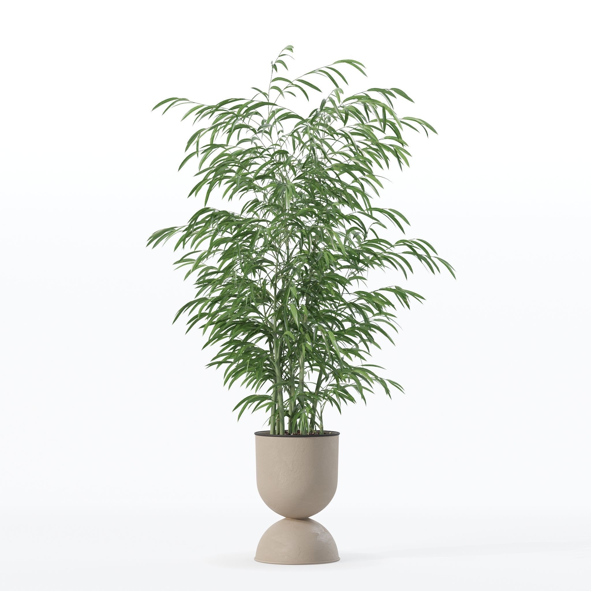 Bamboo in modern flower pot 3D model_10