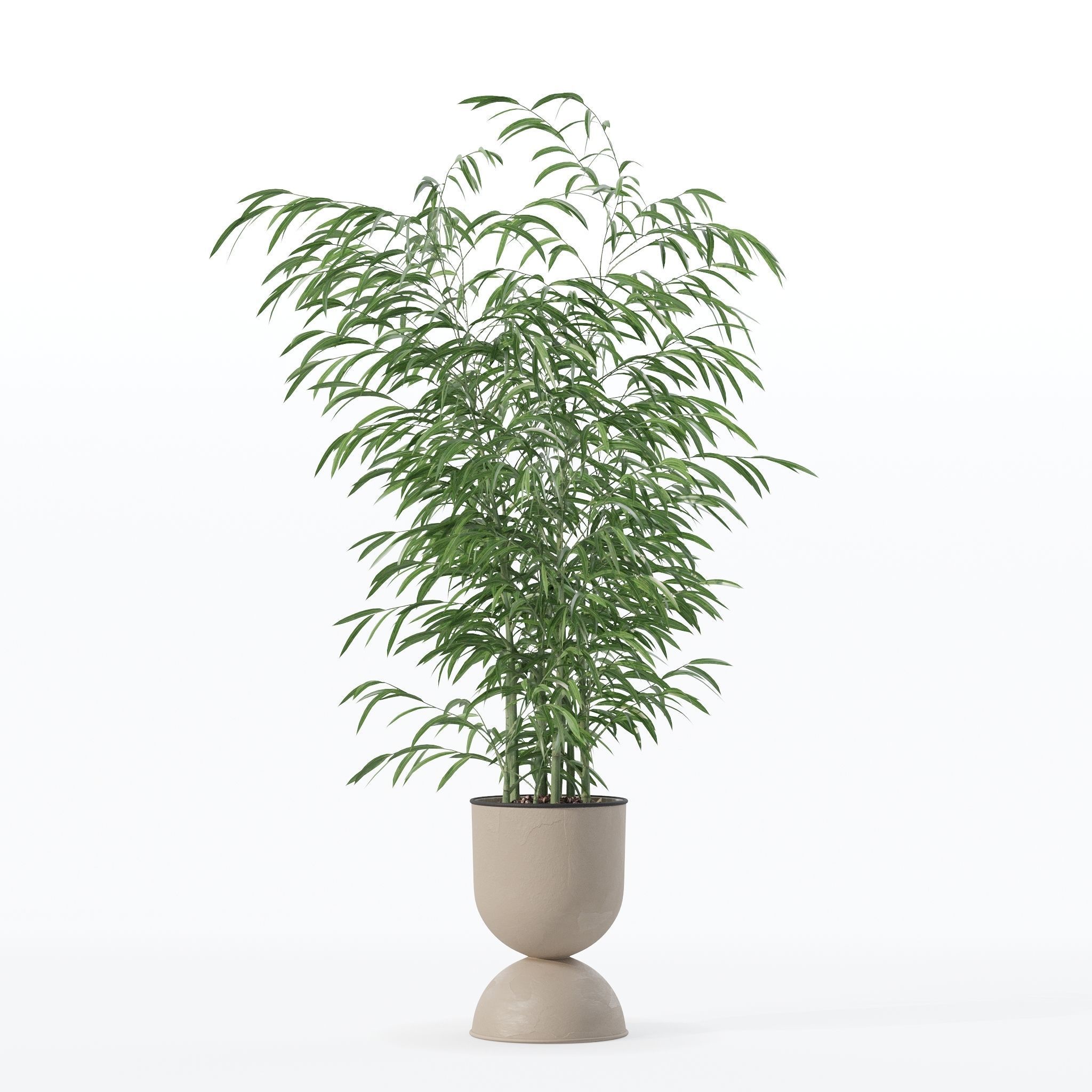 Bamboo in modern flower pot 3D model_16