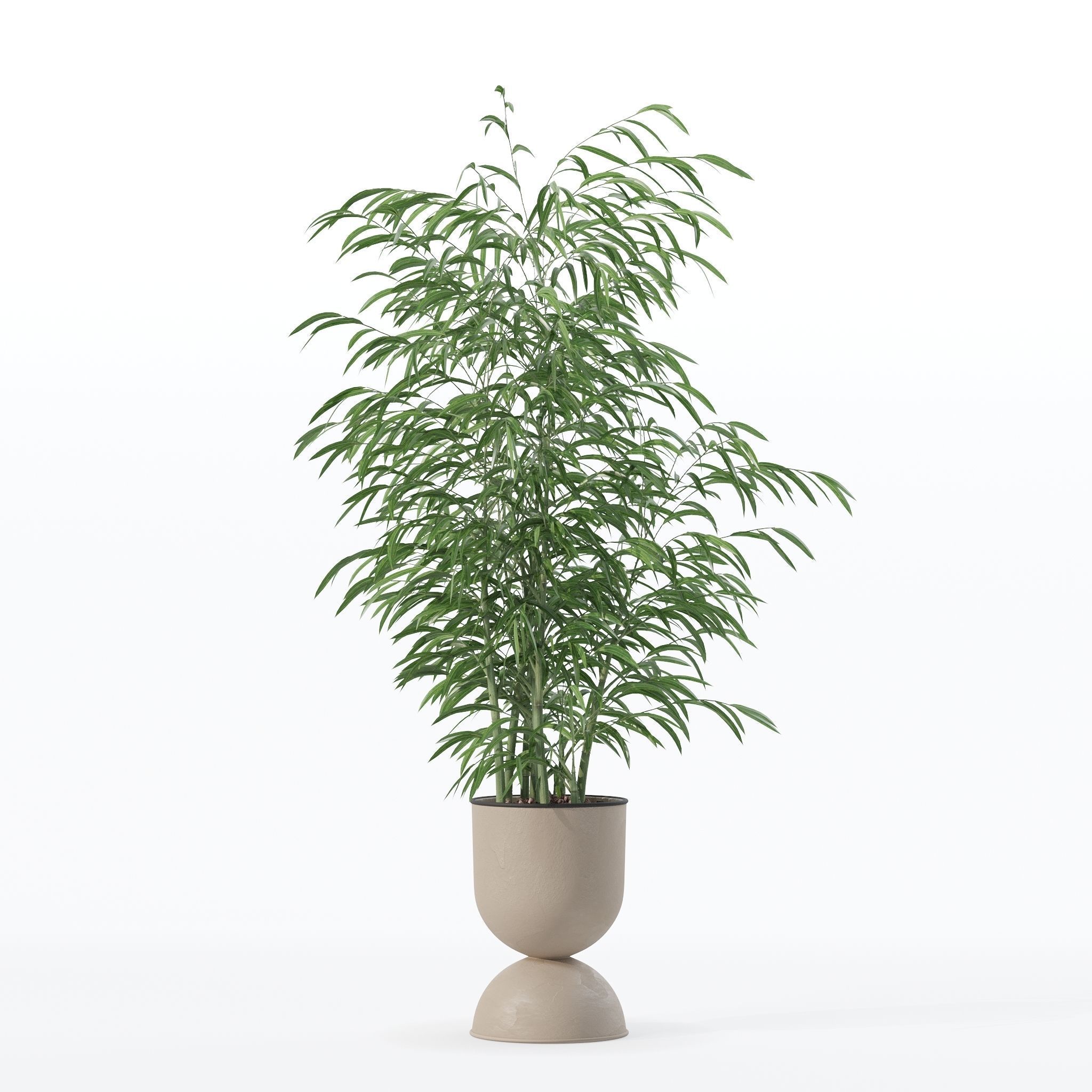 Bamboo in modern flower pot 3D model_12
