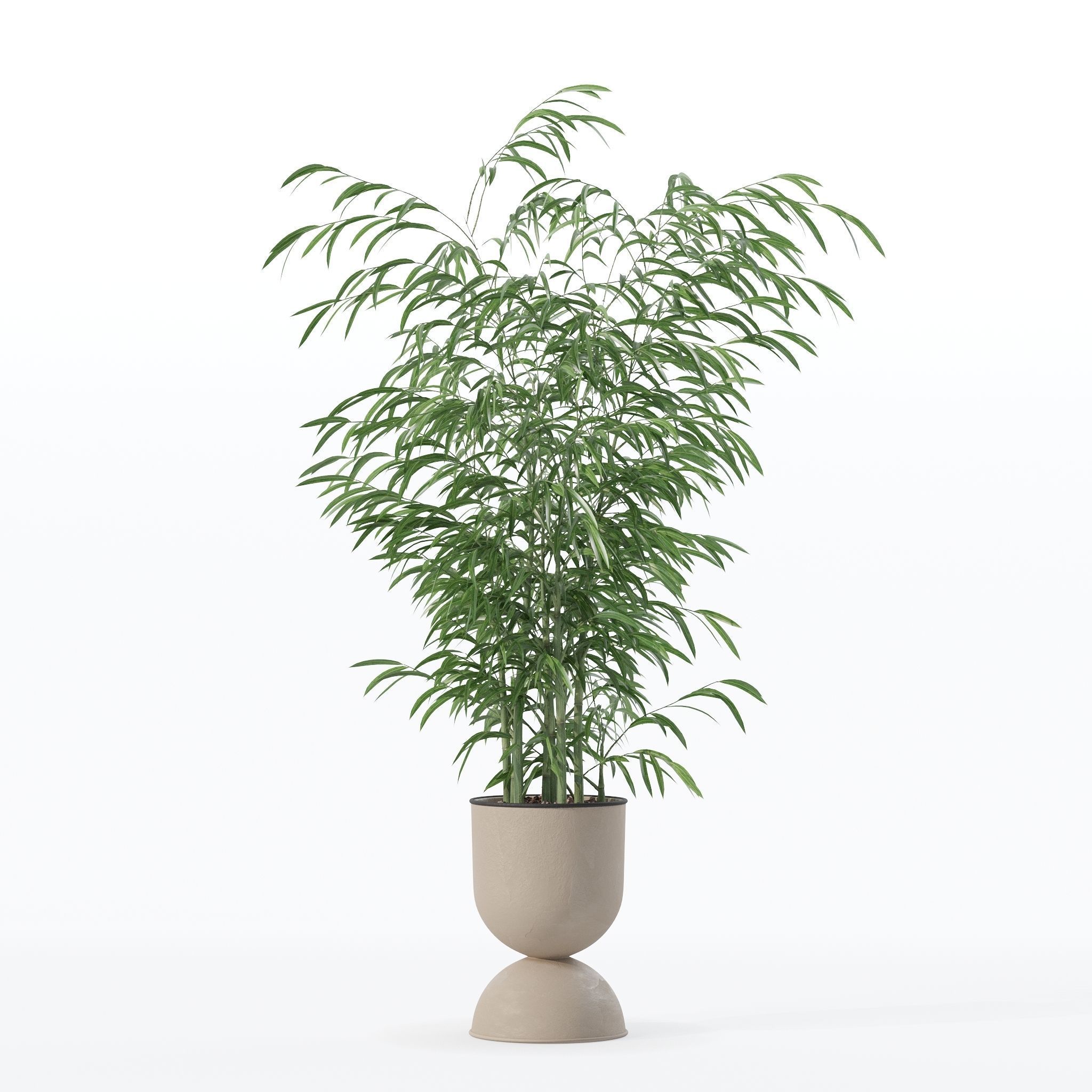 Bamboo in modern flower pot 3D model_27