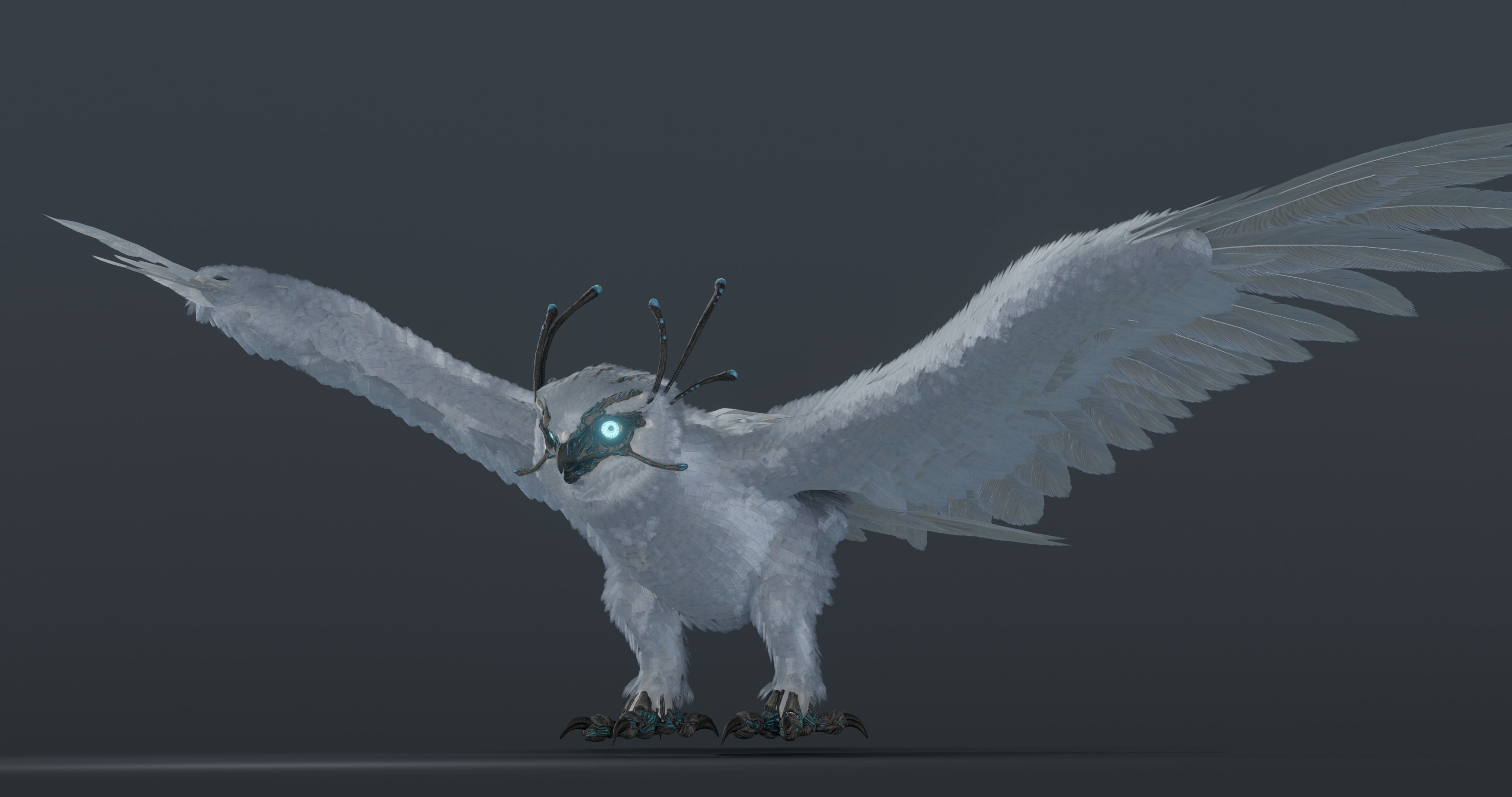 Mystic Owl - rigged Low-poly 3D model_19