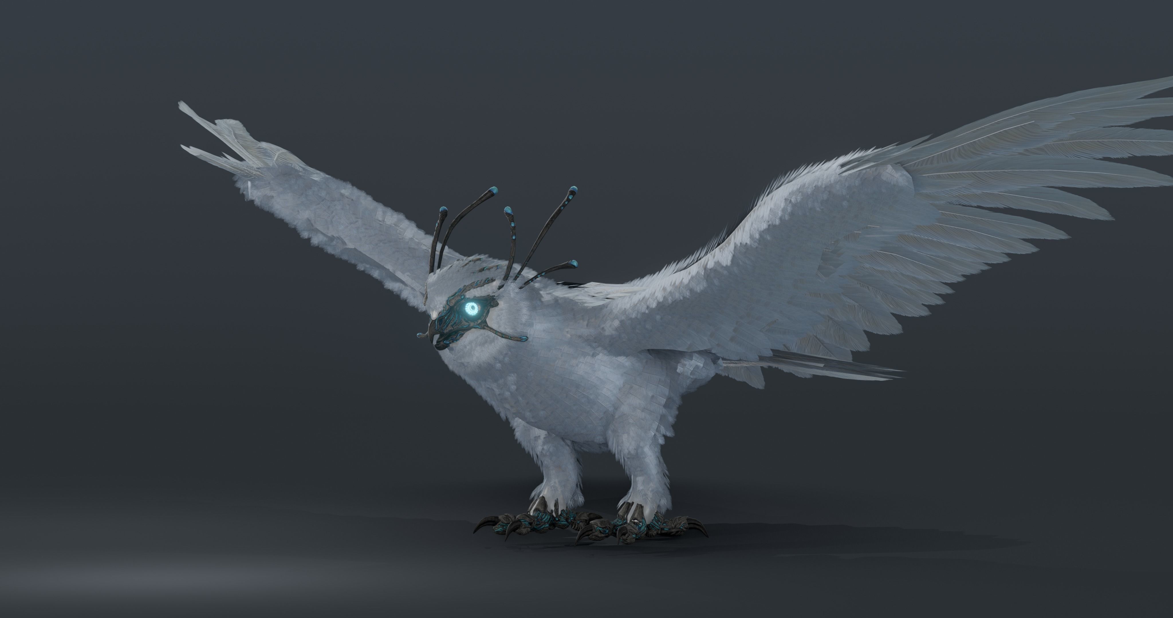 Mystic Owl - rigged Low-poly 3D model_10
