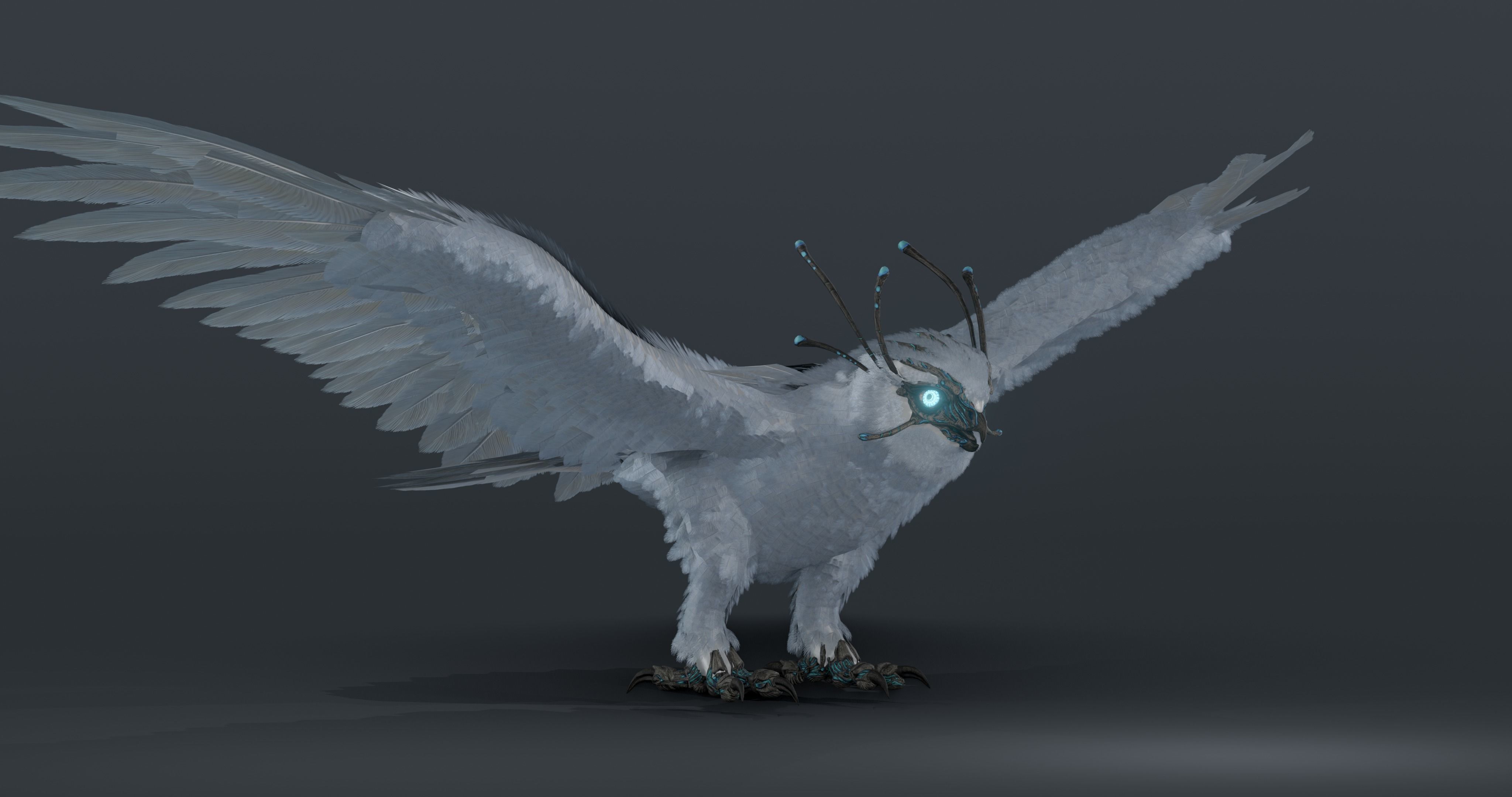 Mystic Owl - rigged Low-poly 3D model_14