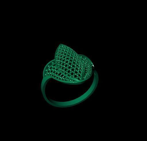 Rings 3D print model_2