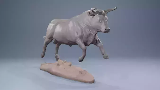 Realistic jumping bull cattle fightingbull for printing 3D print model