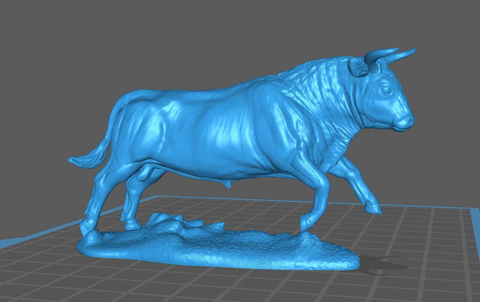 Realistic jumping bull cattle fightingbull for printing 3D print model_4