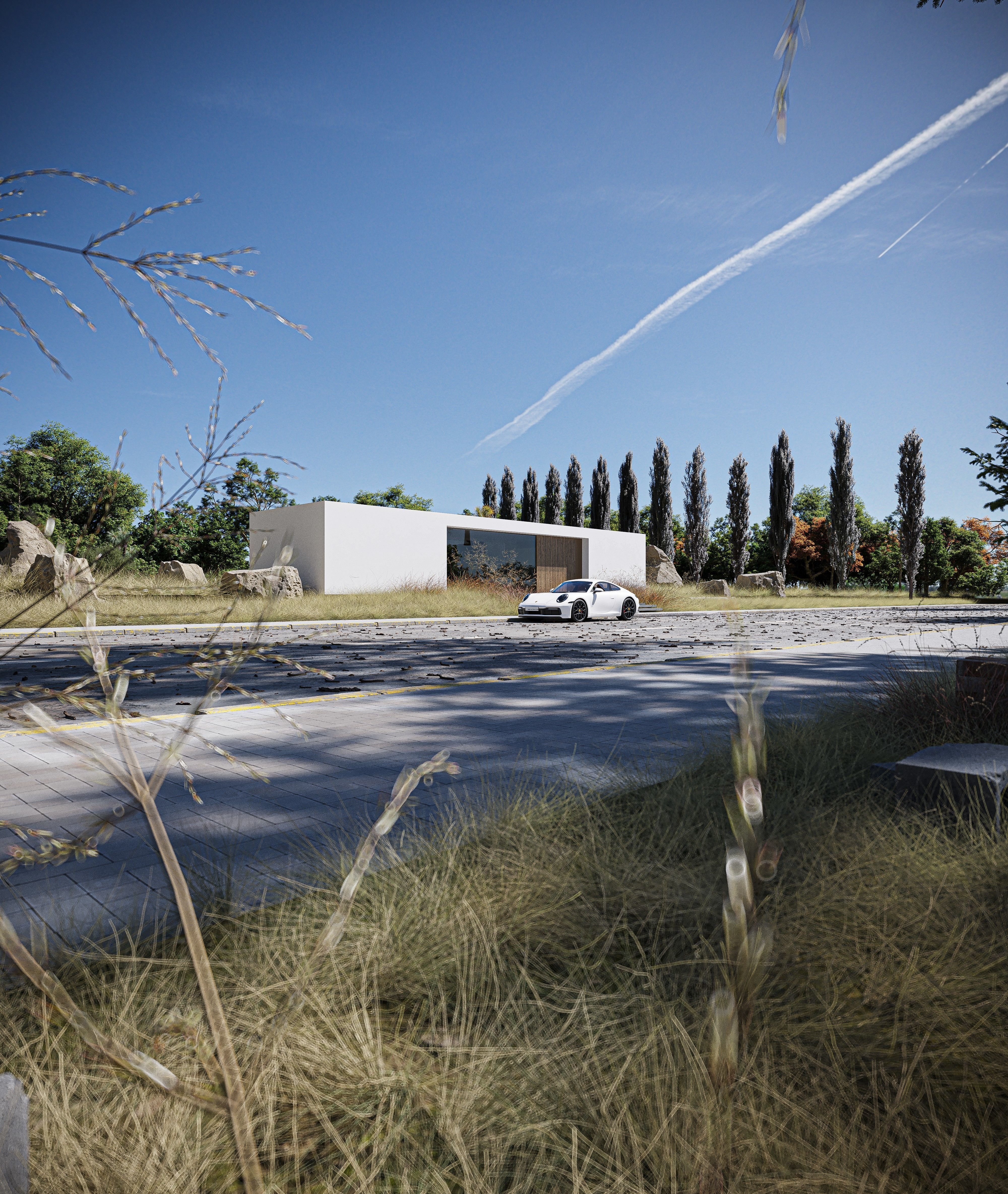 Savana Dry Exterior House Low-poly 3D model_3