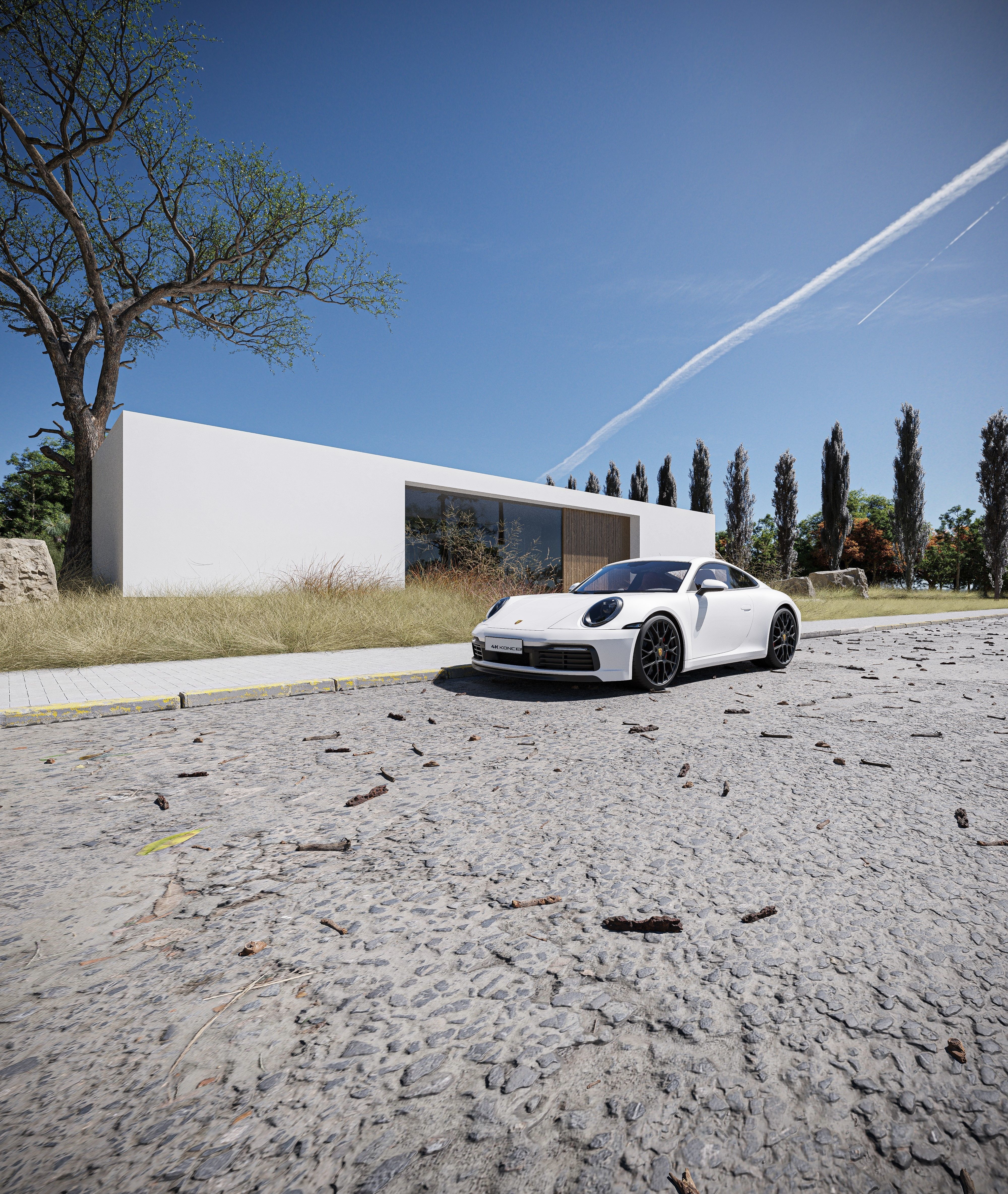 Savana Dry Exterior House Low-poly 3D model_4