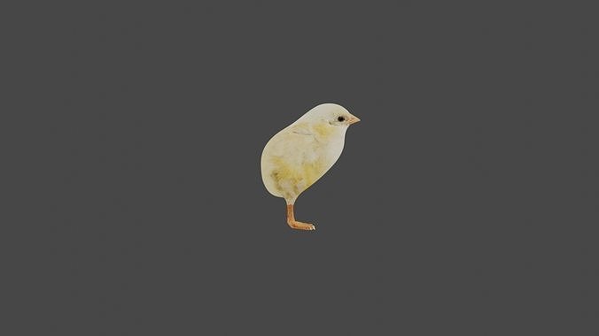 Chick - Chicken Baby - Rigged Low-poly 3D model