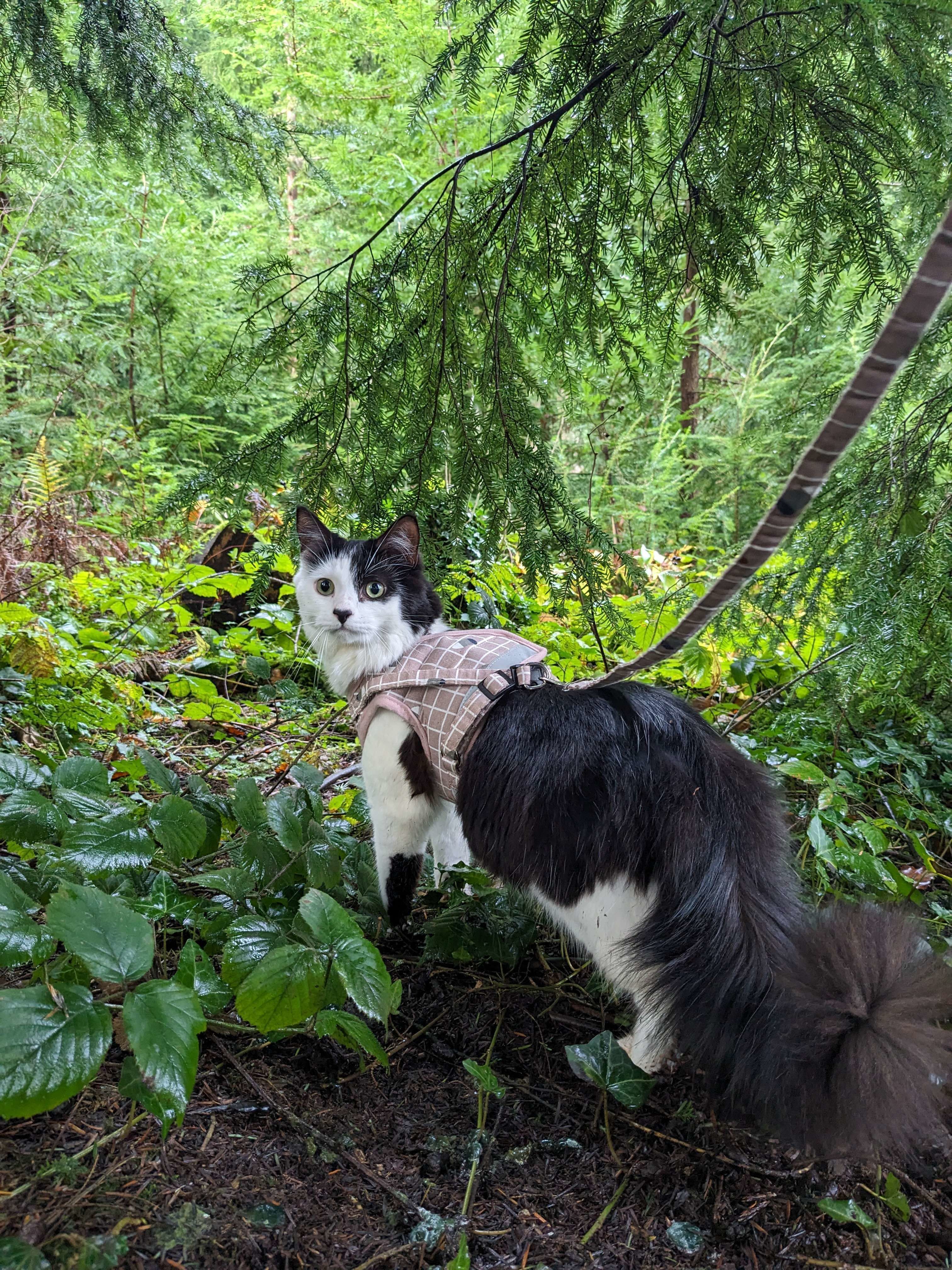 The Gilberts 3D print model_5