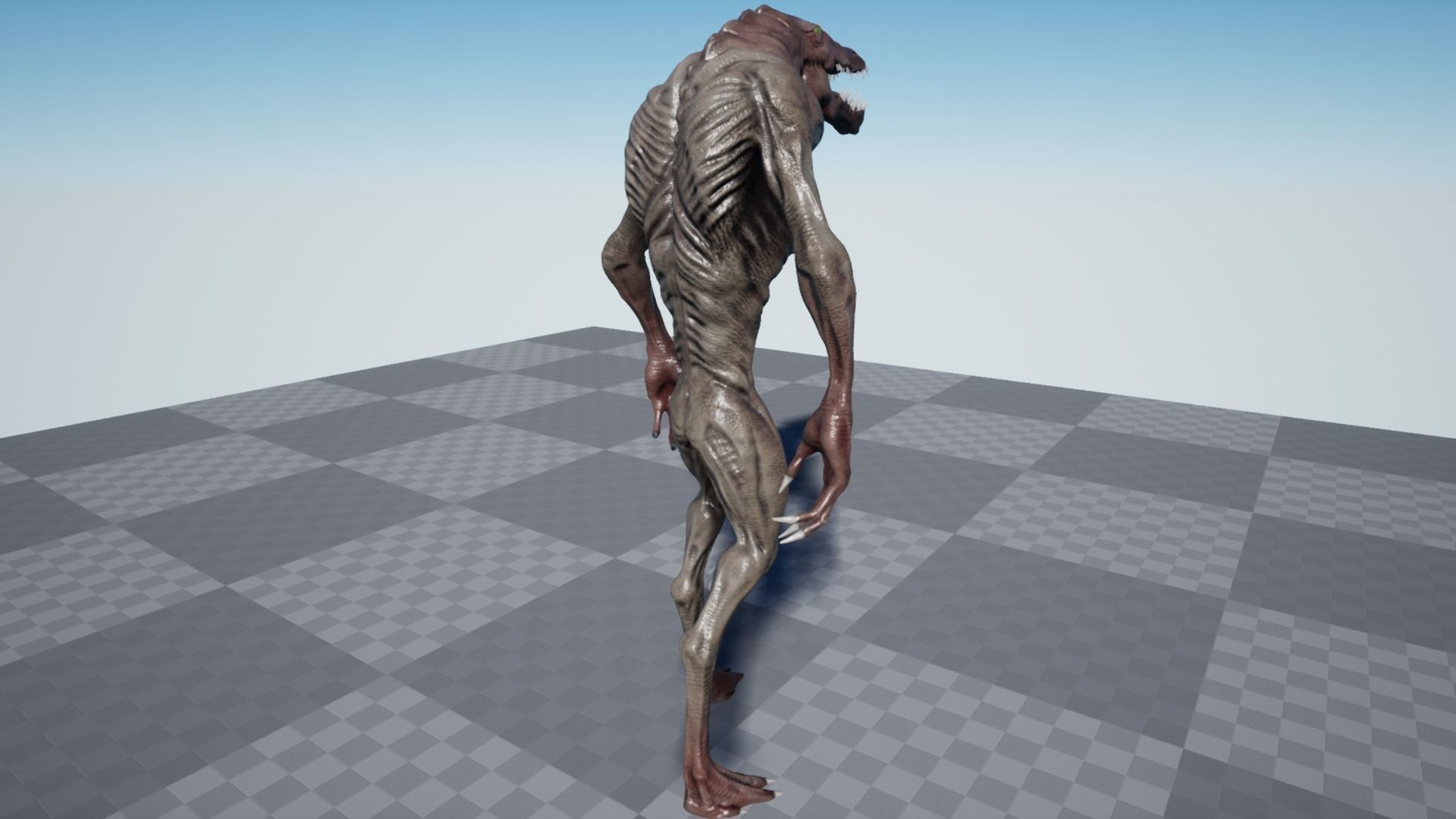 Crocodile Low-poly 3D model_4