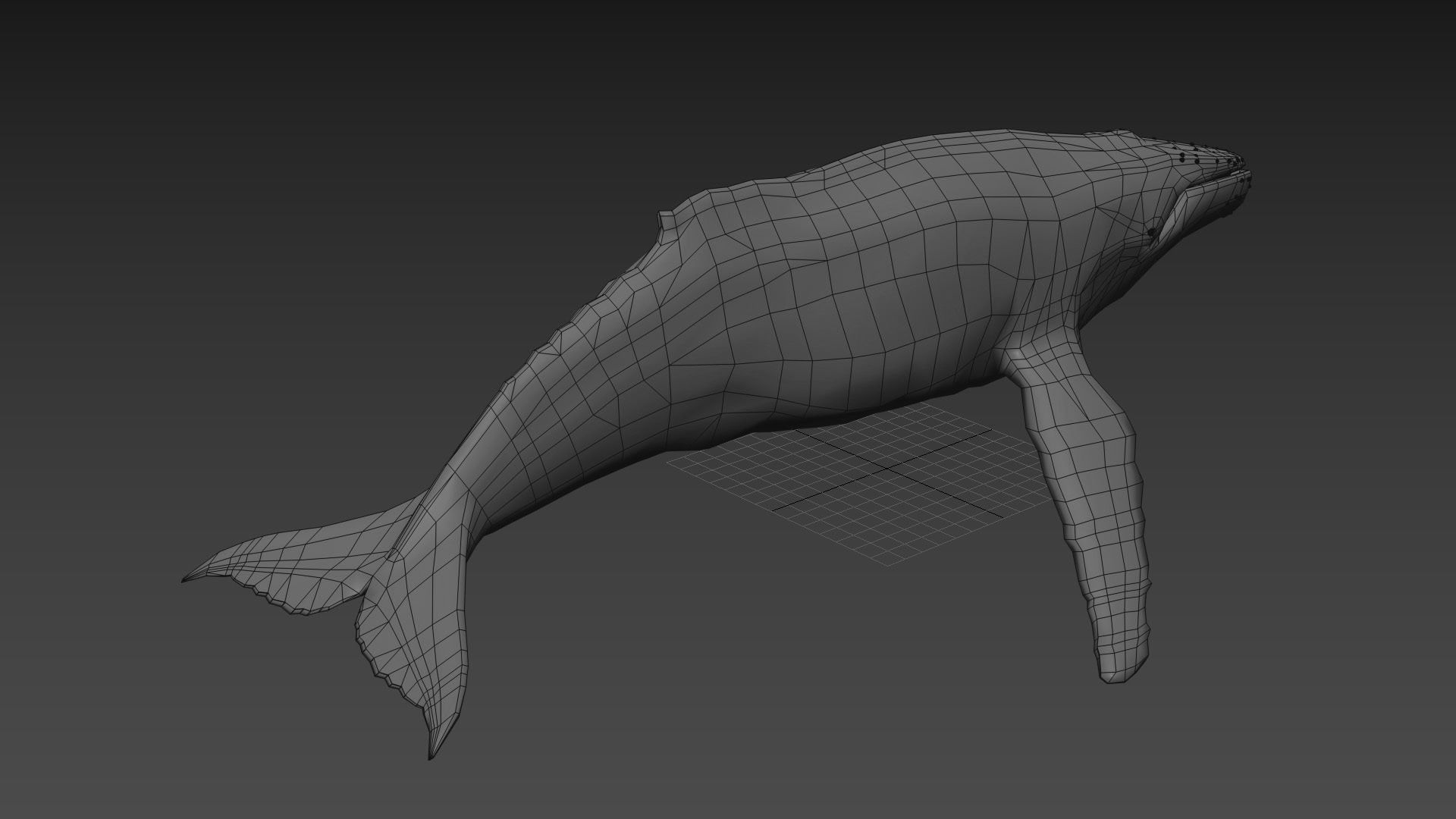 Accurate Humpback Whale 8K - 3d animated 3D model_23