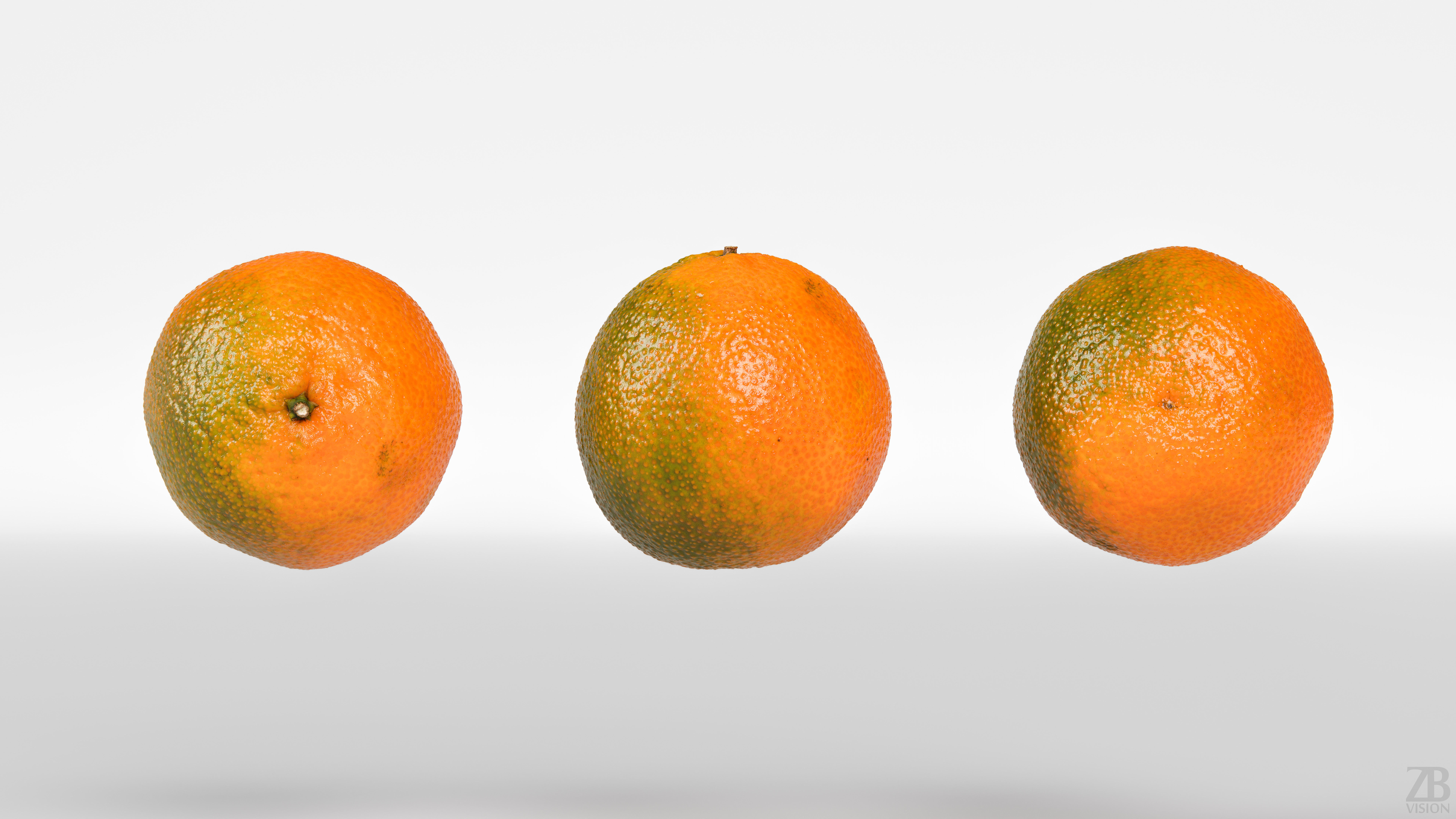Satsuma 3D model_4