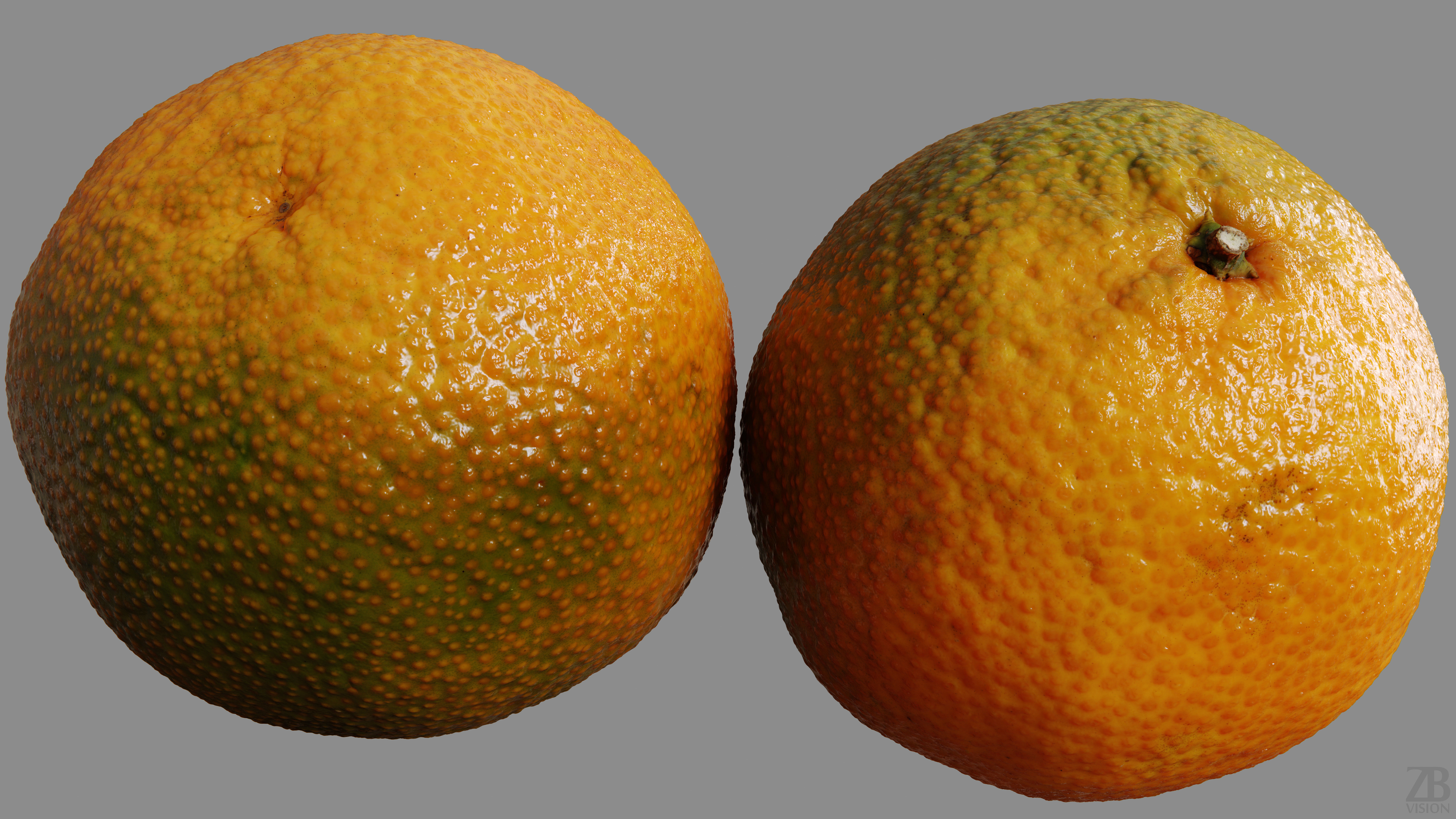 Satsuma 3D model_9