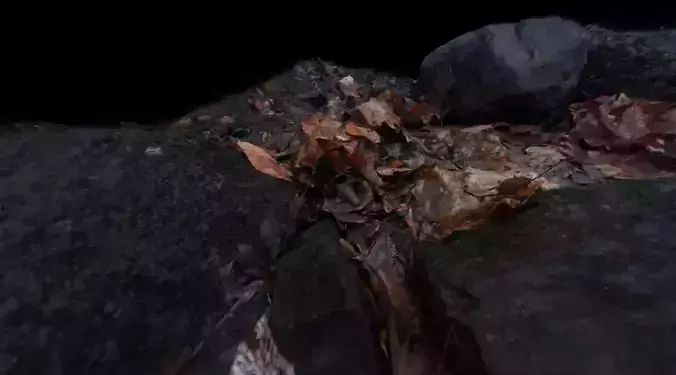 Muddy autumn forest floor  Free 3D model
