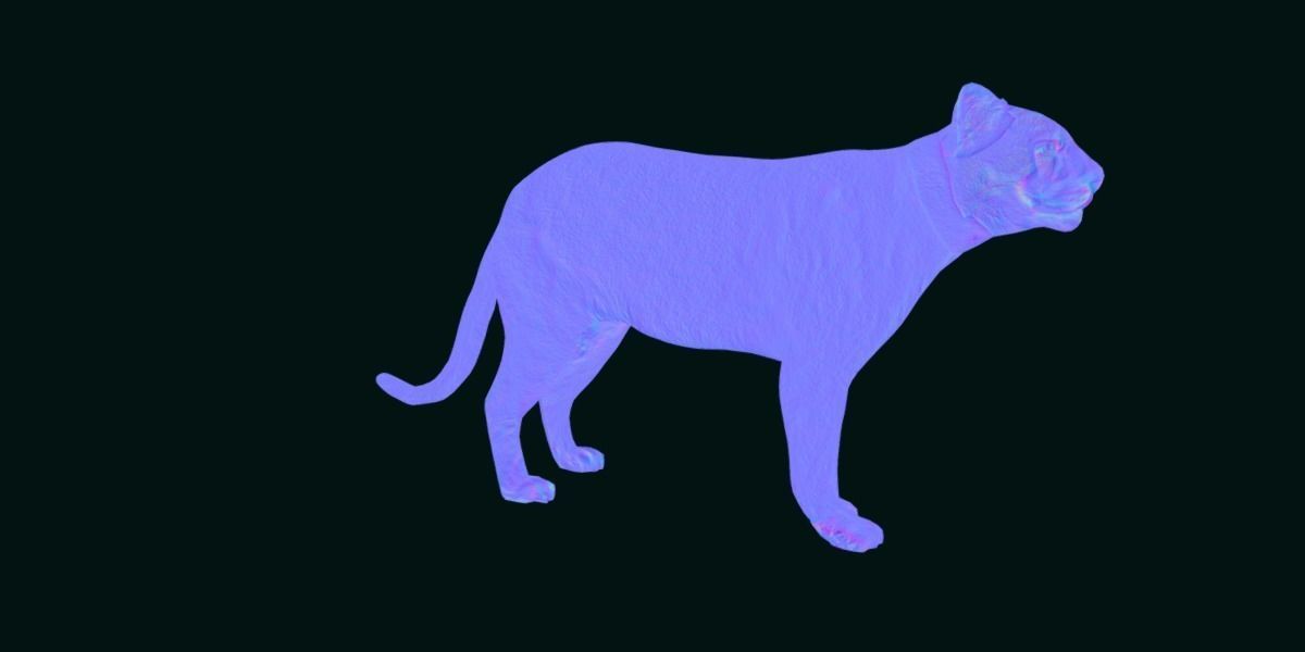 Cougar Cat Low-poly 3D model_17