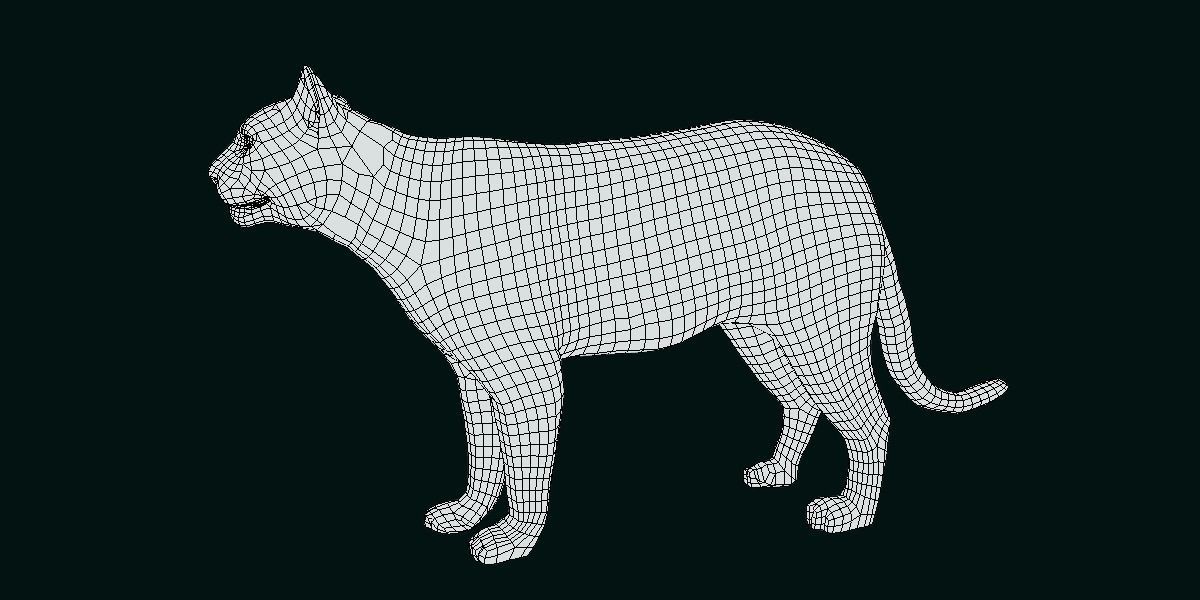 Cougar Cat Low-poly 3D model_5