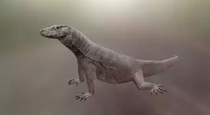 Komodo Idle Animation Low-poly 3D model