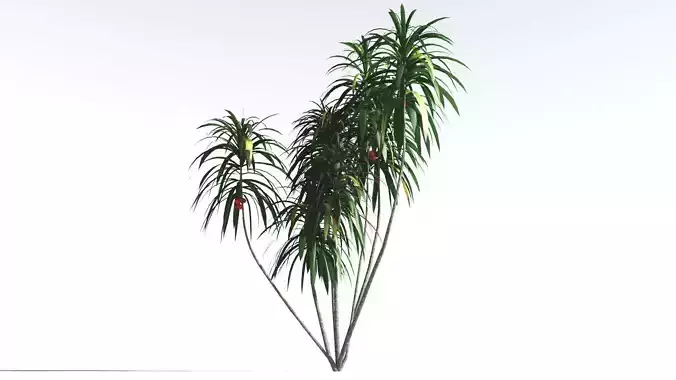 EVERYPlant Scrub Breadfruit LowPoly 2 --18 Models-- Low-poly 3D model