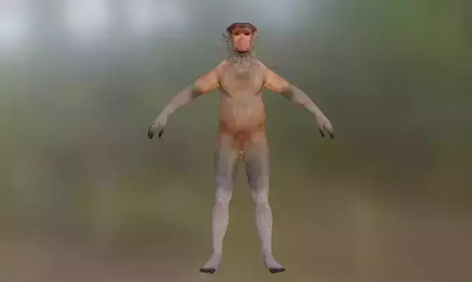 Bekantan Proboscis Monkey