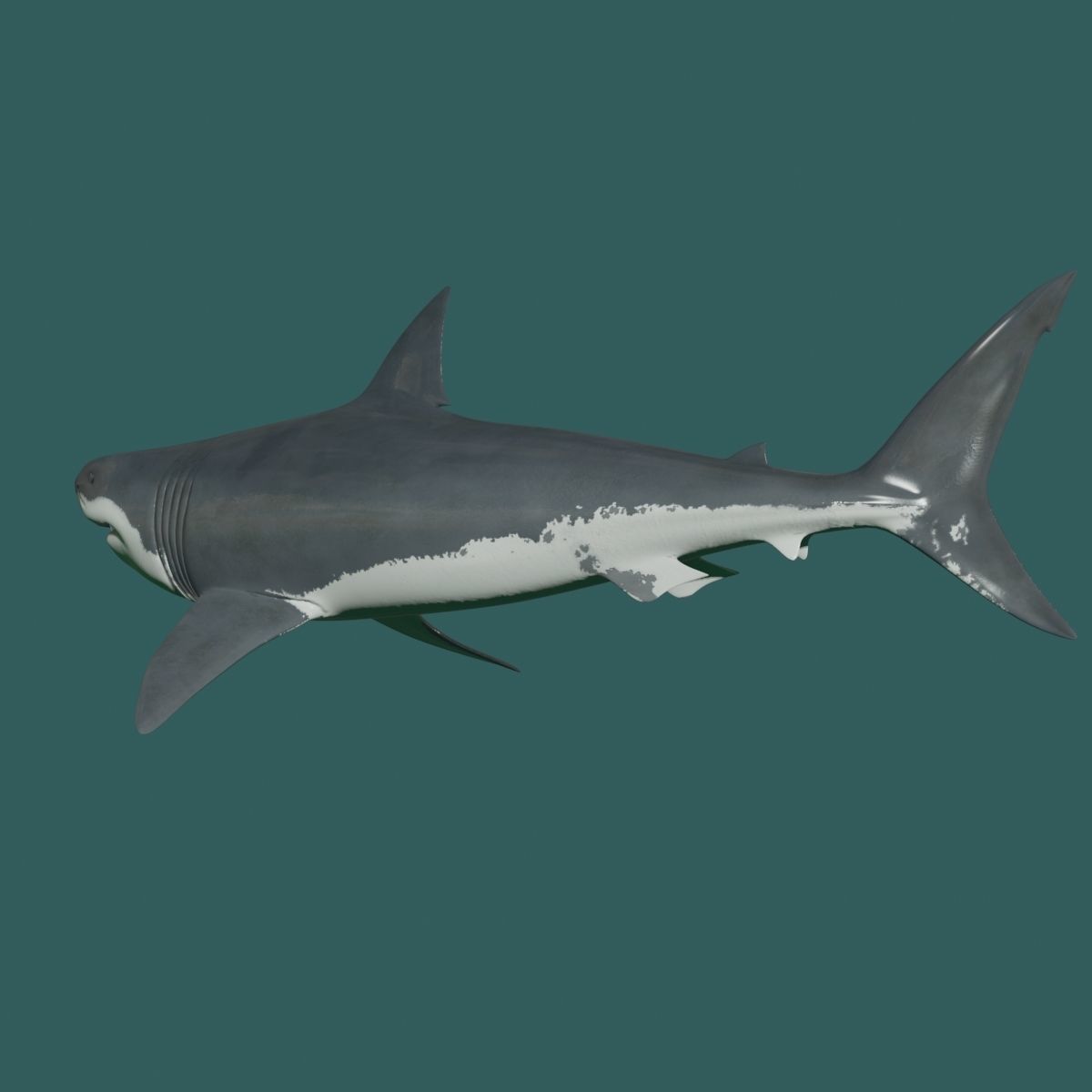 8K Marine Pack - fully animated 3D model_72