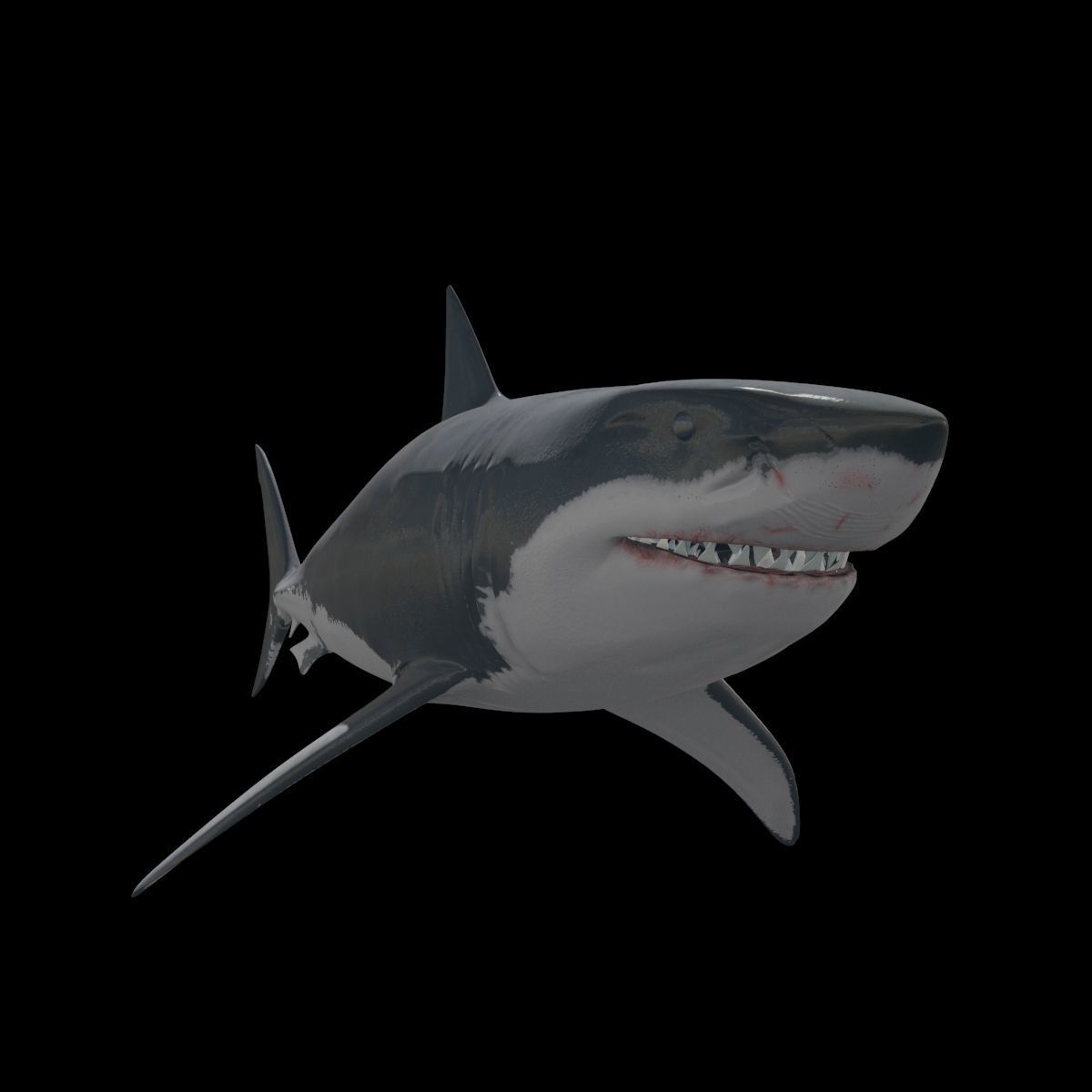 8K Marine Pack - fully animated 3D model_88