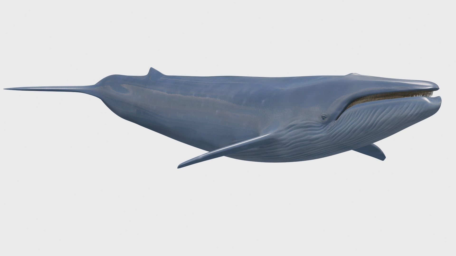 8K Marine Pack - fully animated 3D model_124