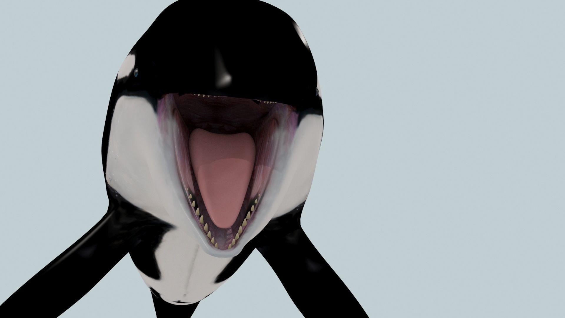 8K Marine Pack - fully animated 3D model_82