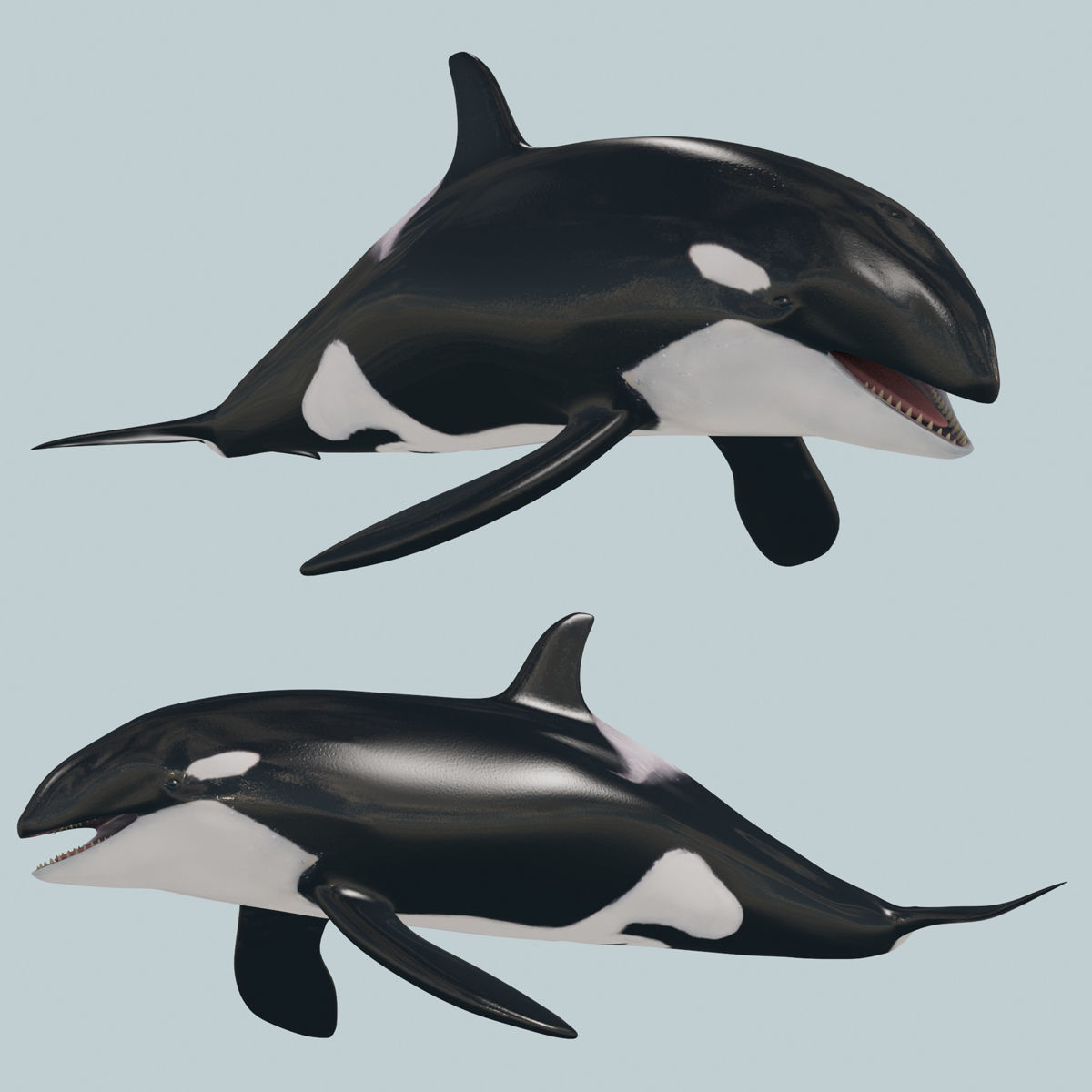 8K Marine Pack - fully animated 3D model_37