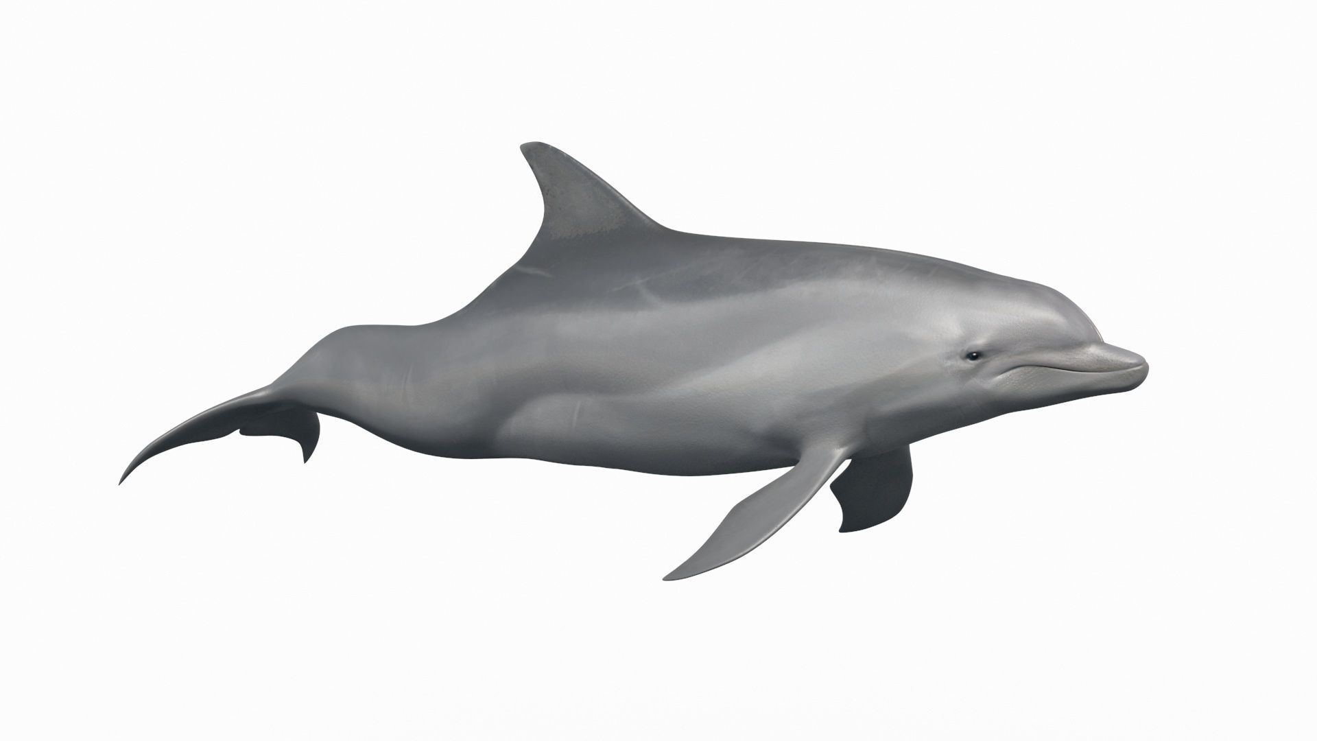 8K Marine Pack - fully animated 3D model_162