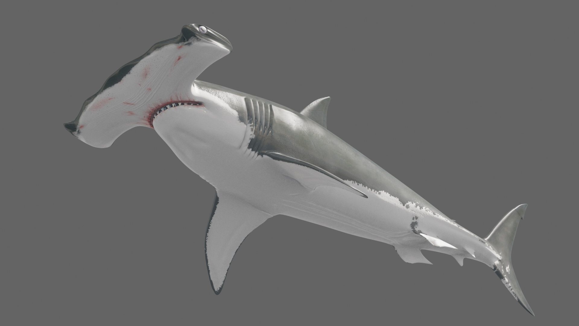 8K Marine Pack - fully animated 3D model_131