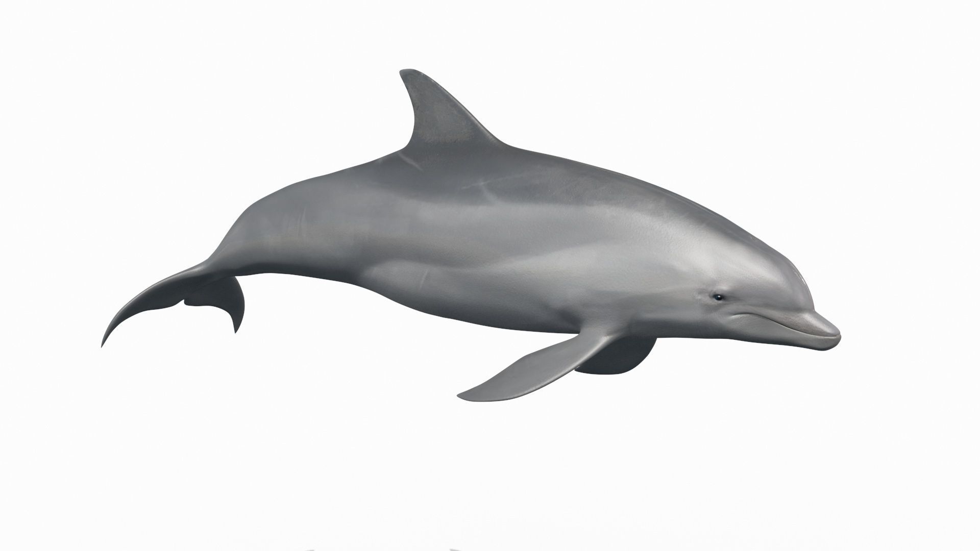 8K Marine Pack - fully animated 3D model_163