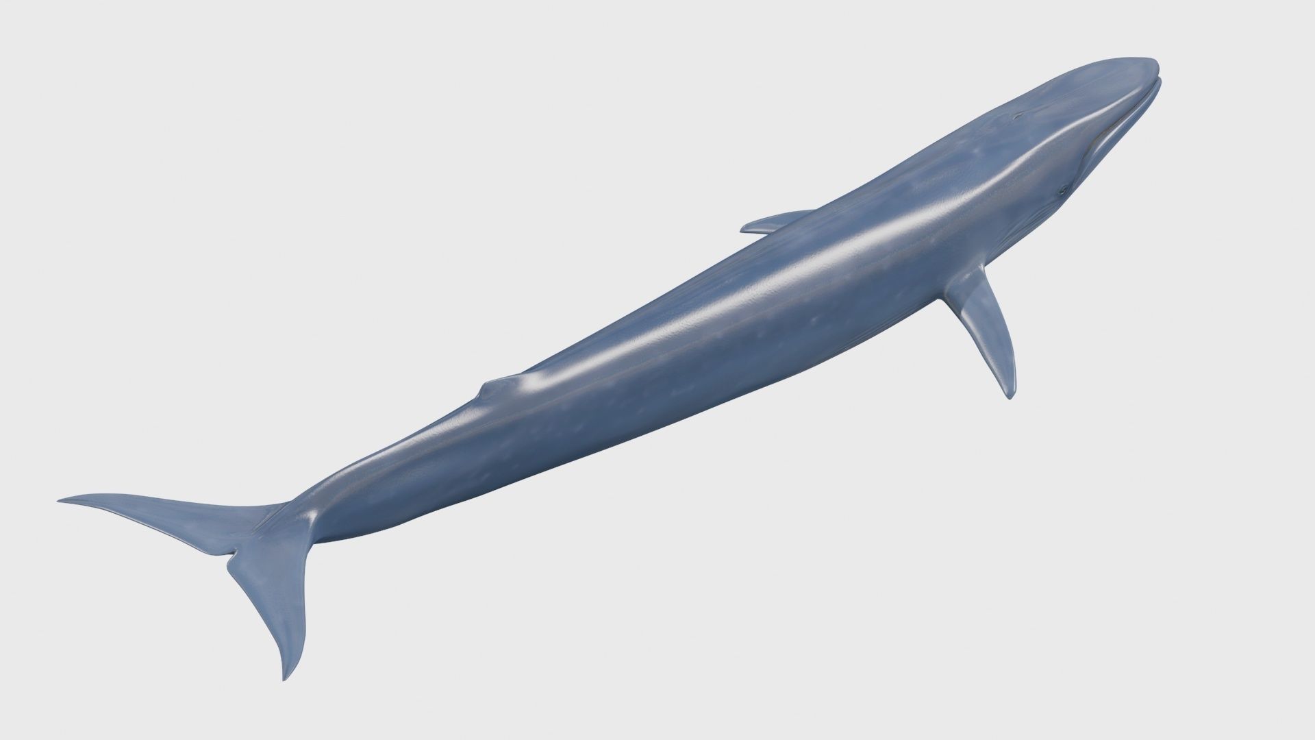 8K Marine Pack - fully animated 3D model_148