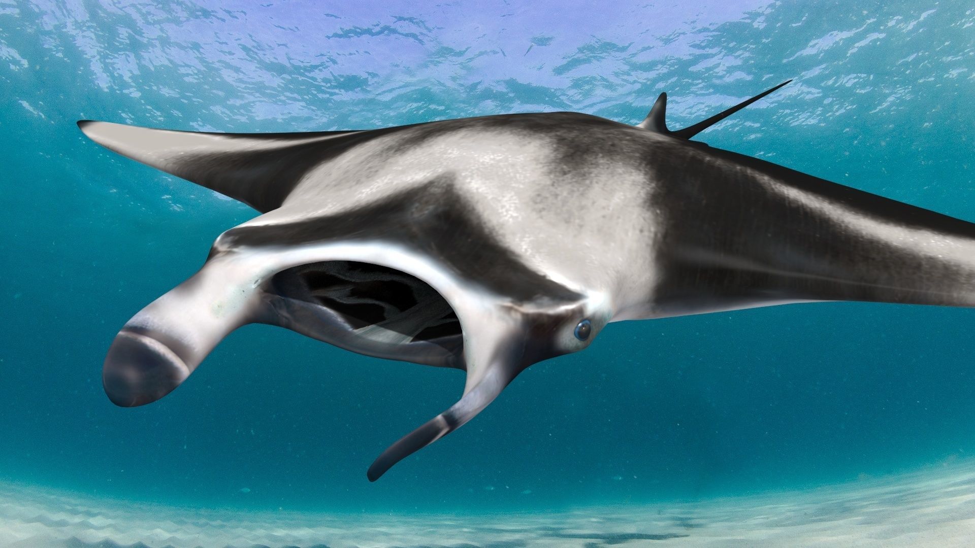 8K Marine Pack - fully animated 3D model_155