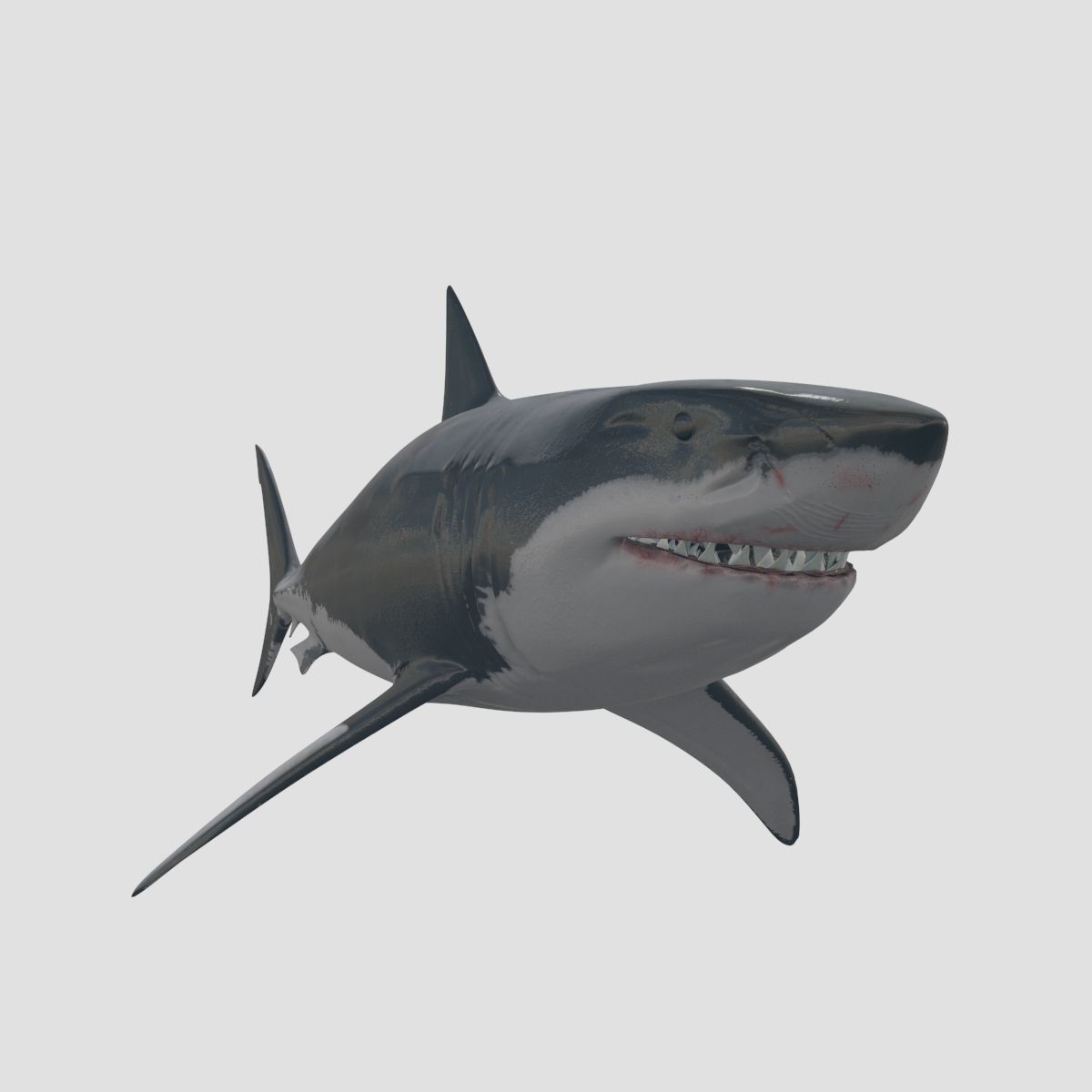 8K Marine Pack - fully animated 3D model_92