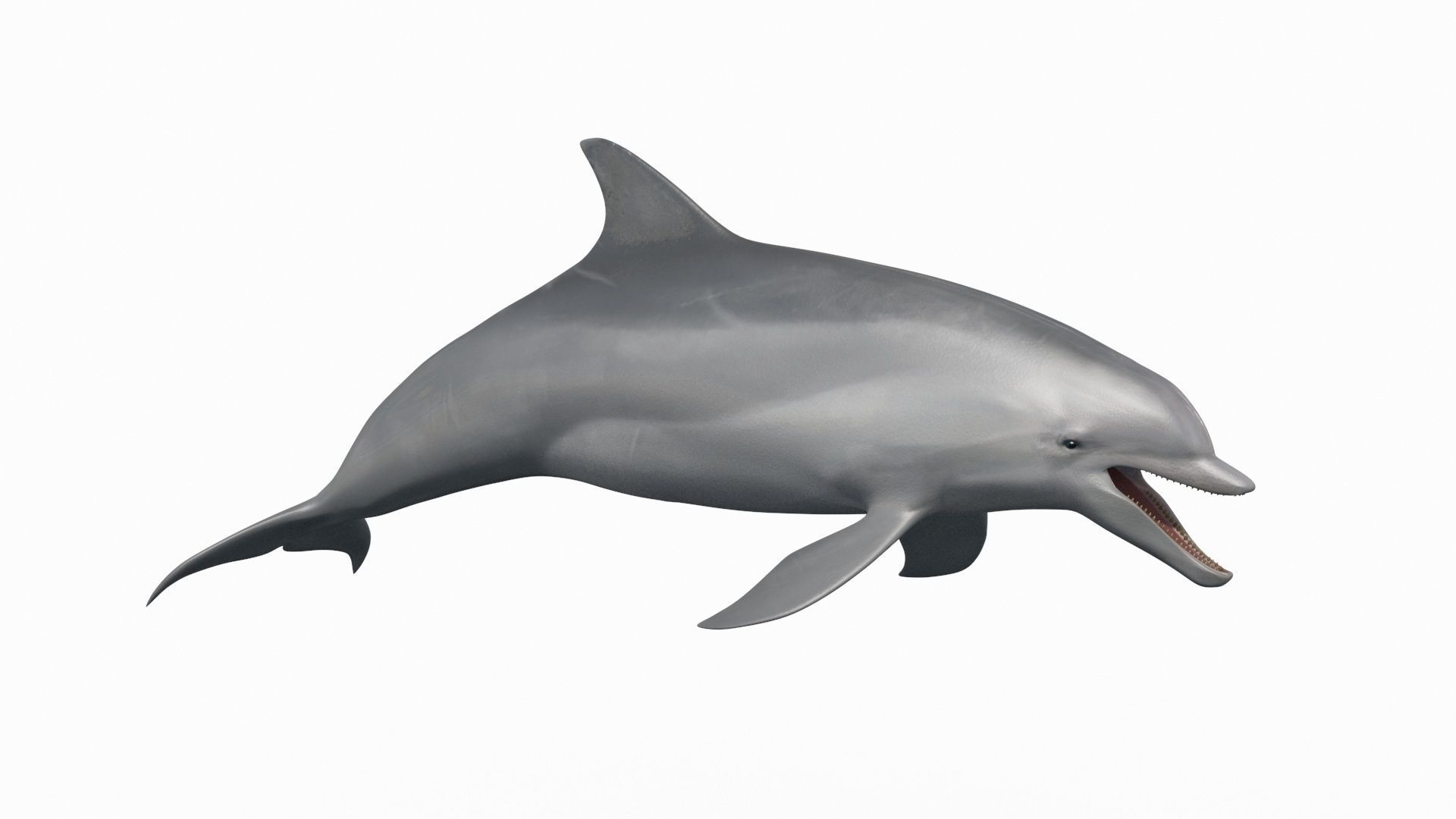 8K Marine Pack - fully animated 3D model_161