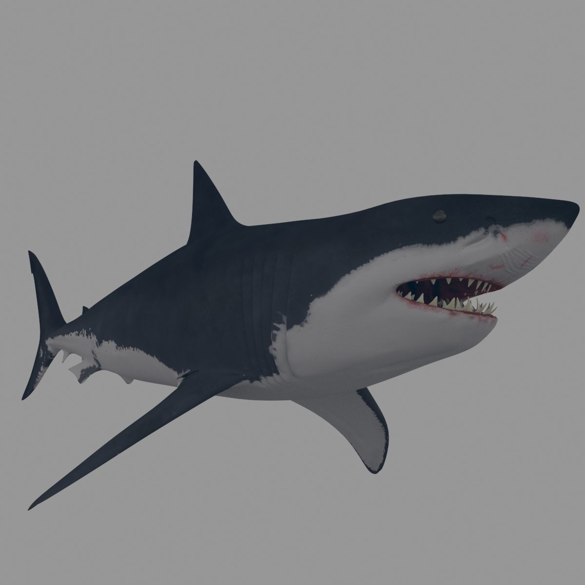 8K Marine Pack - fully animated 3D model_116