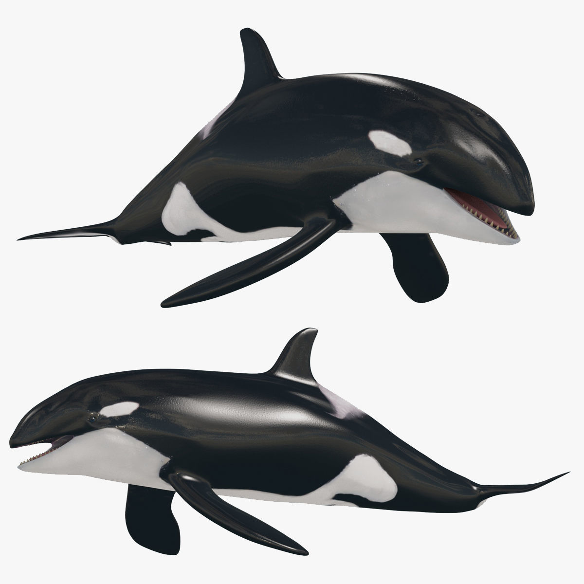 8K Marine Pack - fully animated 3D model_43